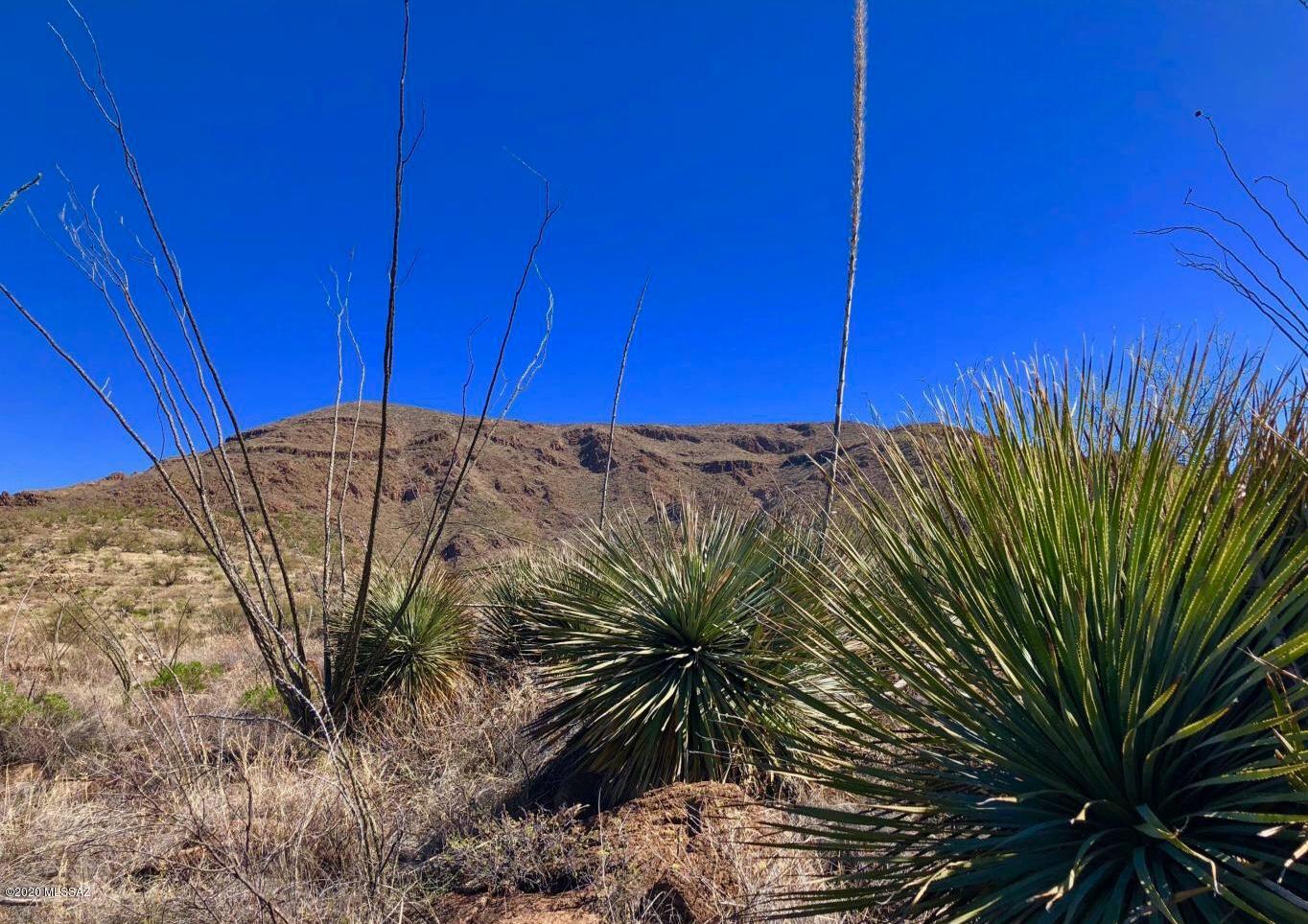 Privacy in a gated ranch property.This 41+ acre parcel offers elevated building sites so you can be surrounded by mountains and enjoy the sunset views! You may build now or later with the builder of your choice.