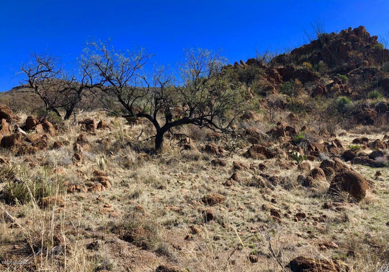 Salero Ranch - Land