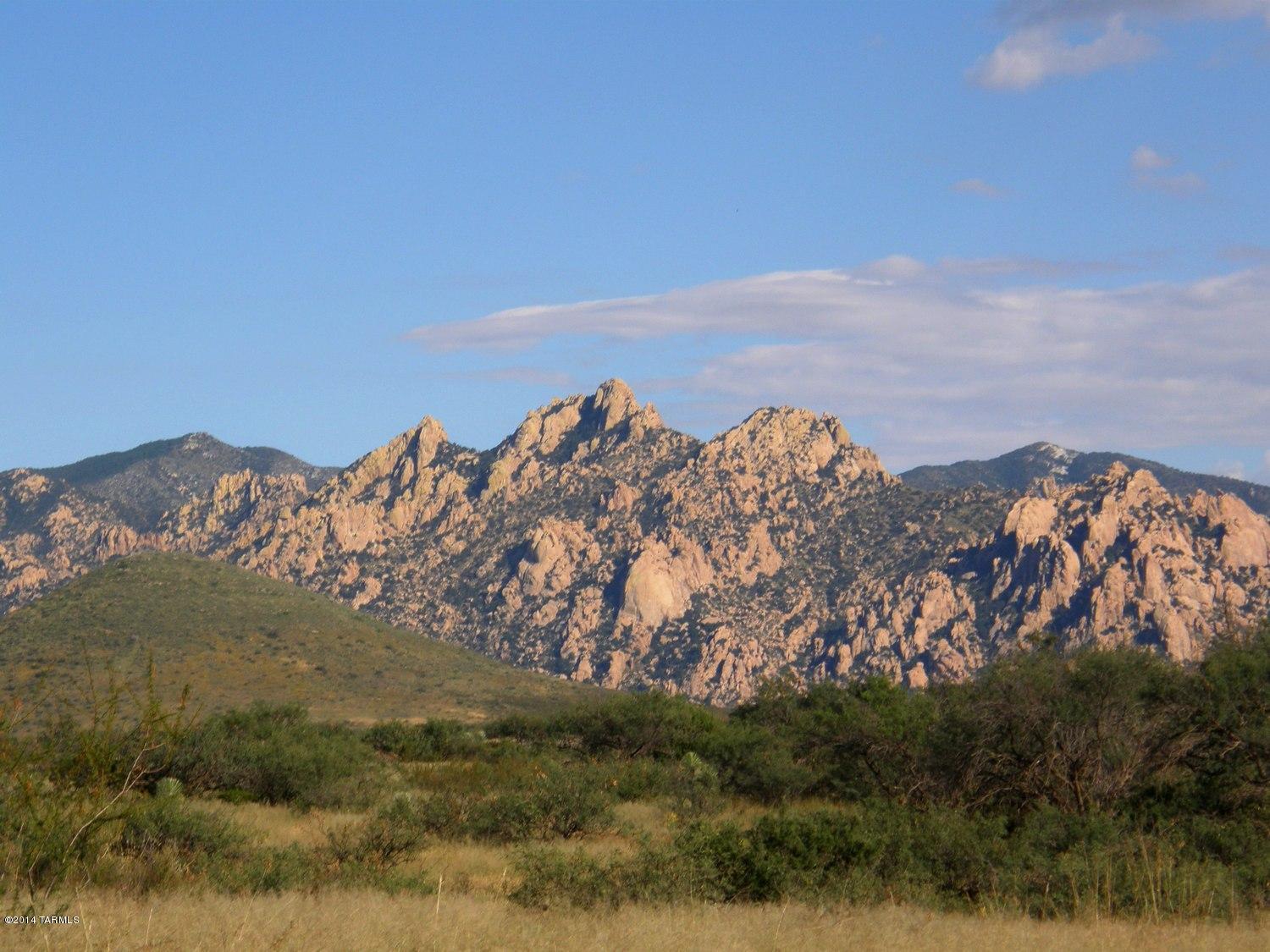 36+ ACRES JUST REDUCED TO $35,000!! ONLY Surrounded by mountains with panoramic mountain views in all directions. Located in the foothills of the Dragoon Mountains overlooking the San Pedro River Valley. This is a wonderful area for horse & nature lovers with so many great places to ride & hike. Owners have ranch access to the nearby Coronado National Forest & conservation greenbelts. Located in Dragoon Mountain Ranch, the only large acreage gated community in Cochise County where the lots can't be less than 36 acres. Come & enjoy spectacular sunsets, dark starry nights & a mild year around climate at a 4,600' elevation. Convenient shopping, medical, dining & golf in nearby Benson. Less than an hour to Tucson & Sierra Vista. For more information call broker living in Dragoon Mountain Ranch