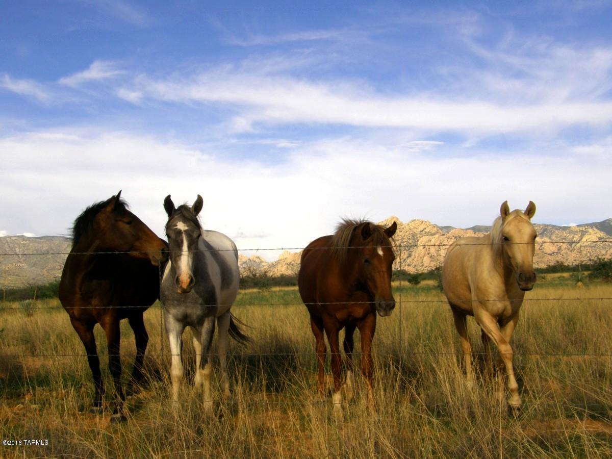 Dragoon Mountain Ranch - Land