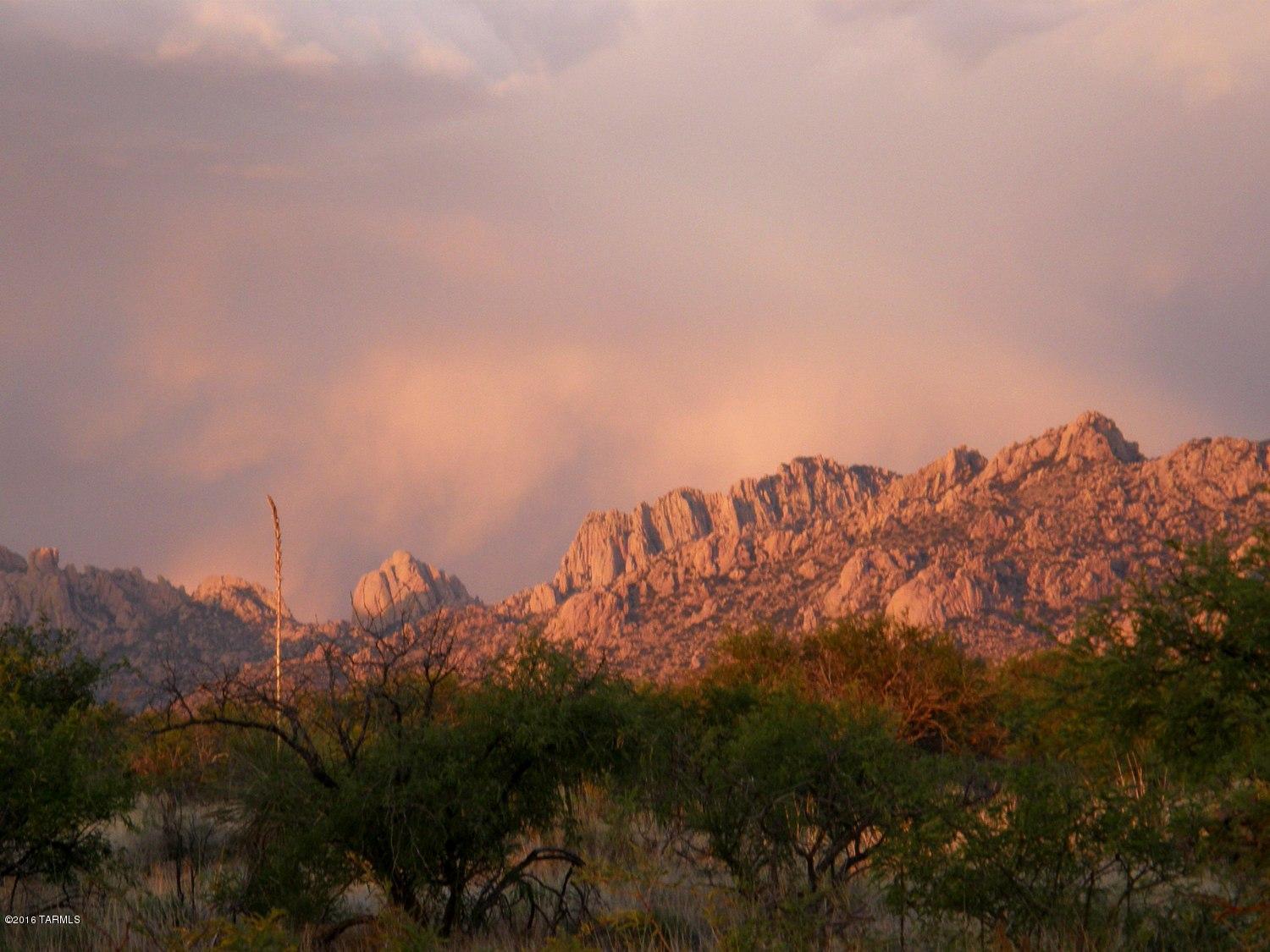 Dragoon Mountain Ranch - Land
