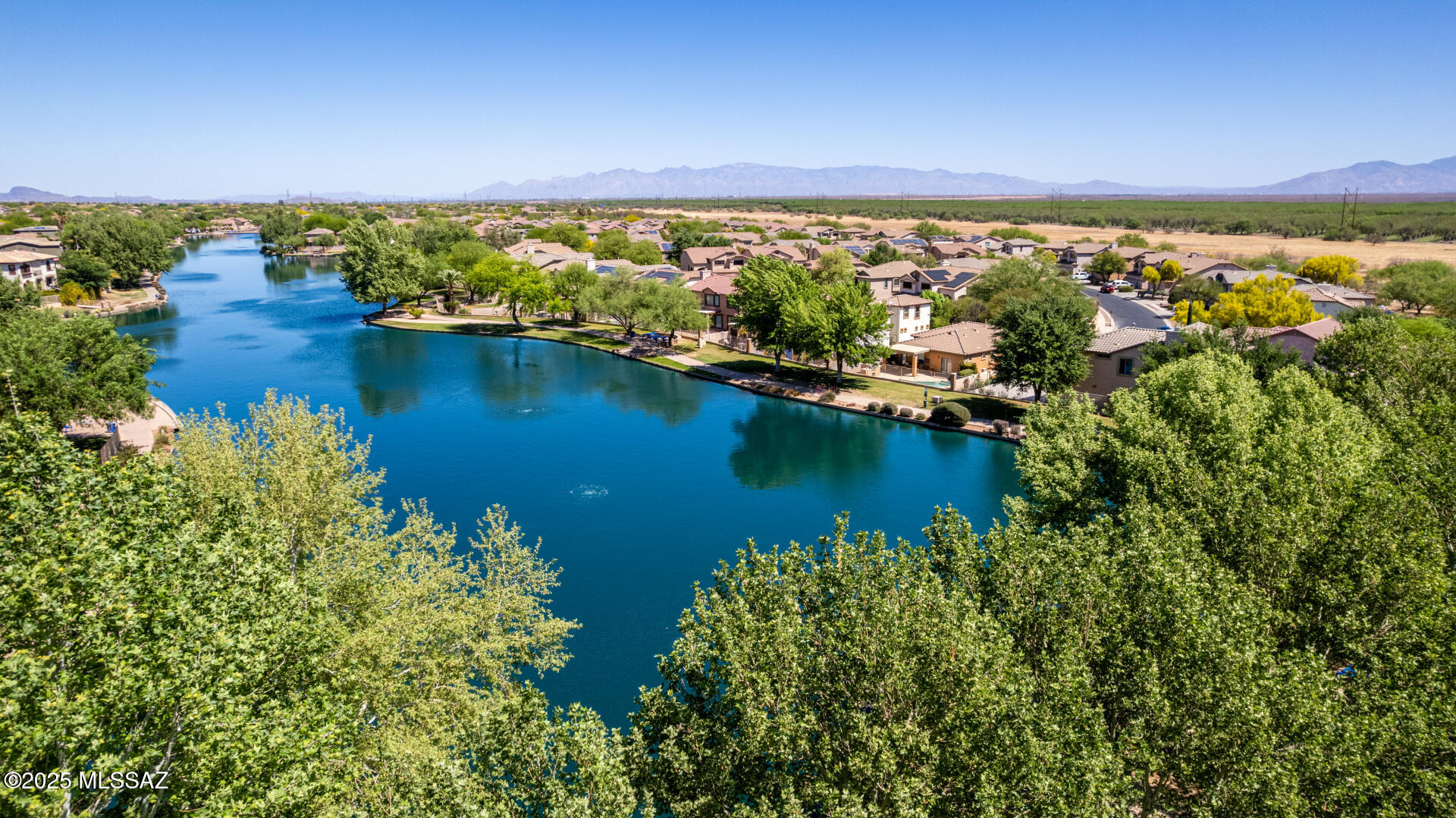 Rancho Sahuarita Presidio De Arboles (1-145) - Residential