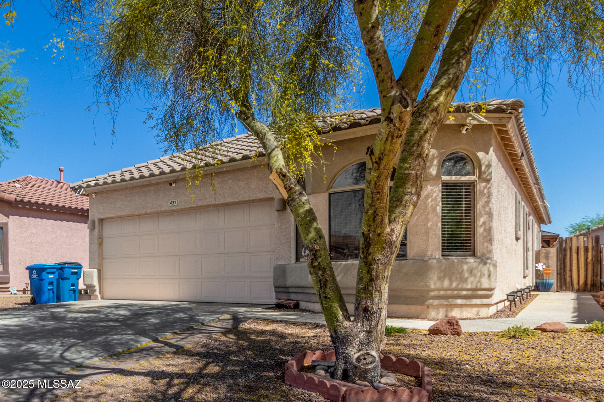 Rancho Sahuarita Presidio De Arboles (1-145) - Residential