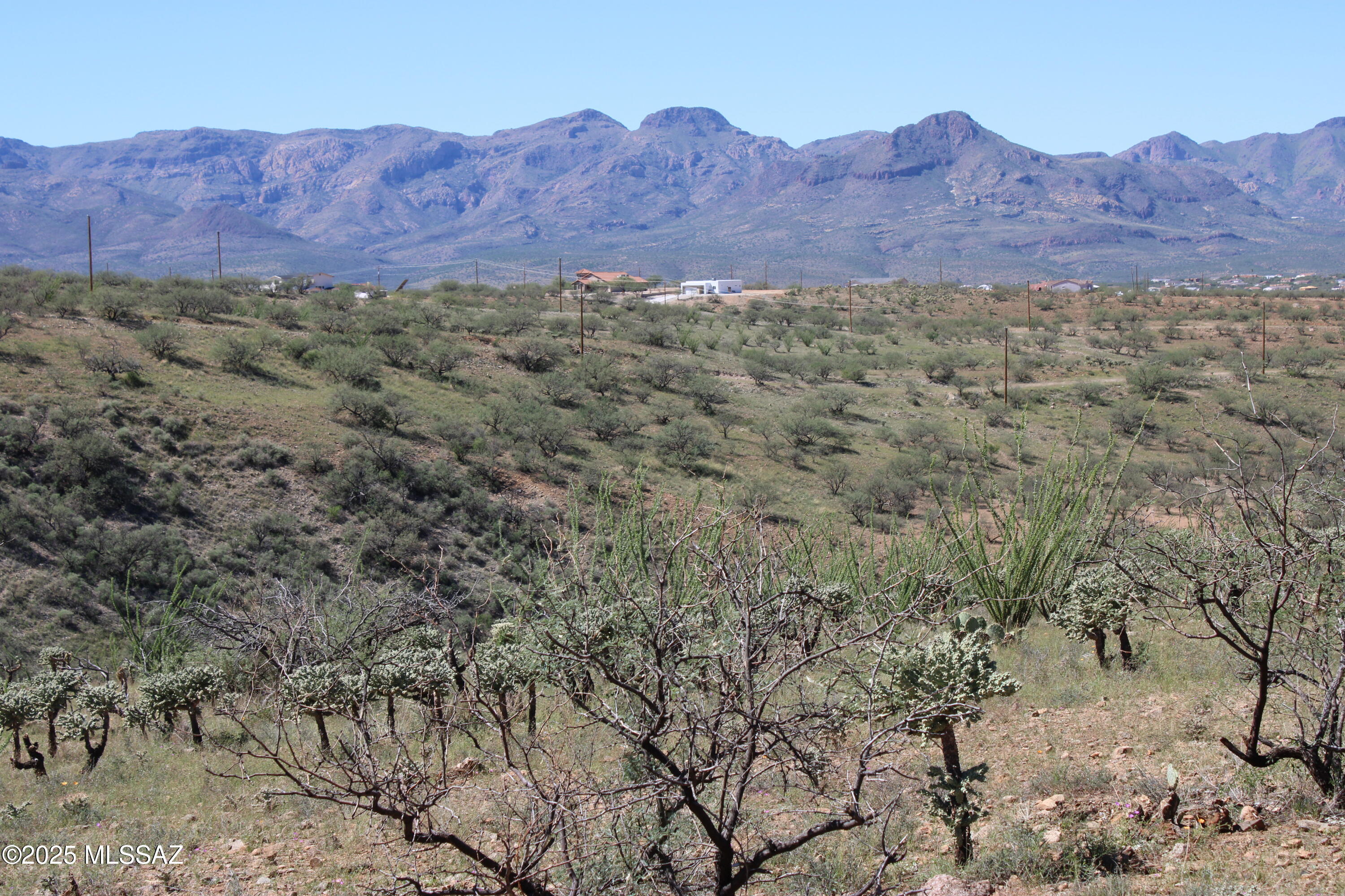 Rio Rico Ranchettes - Land