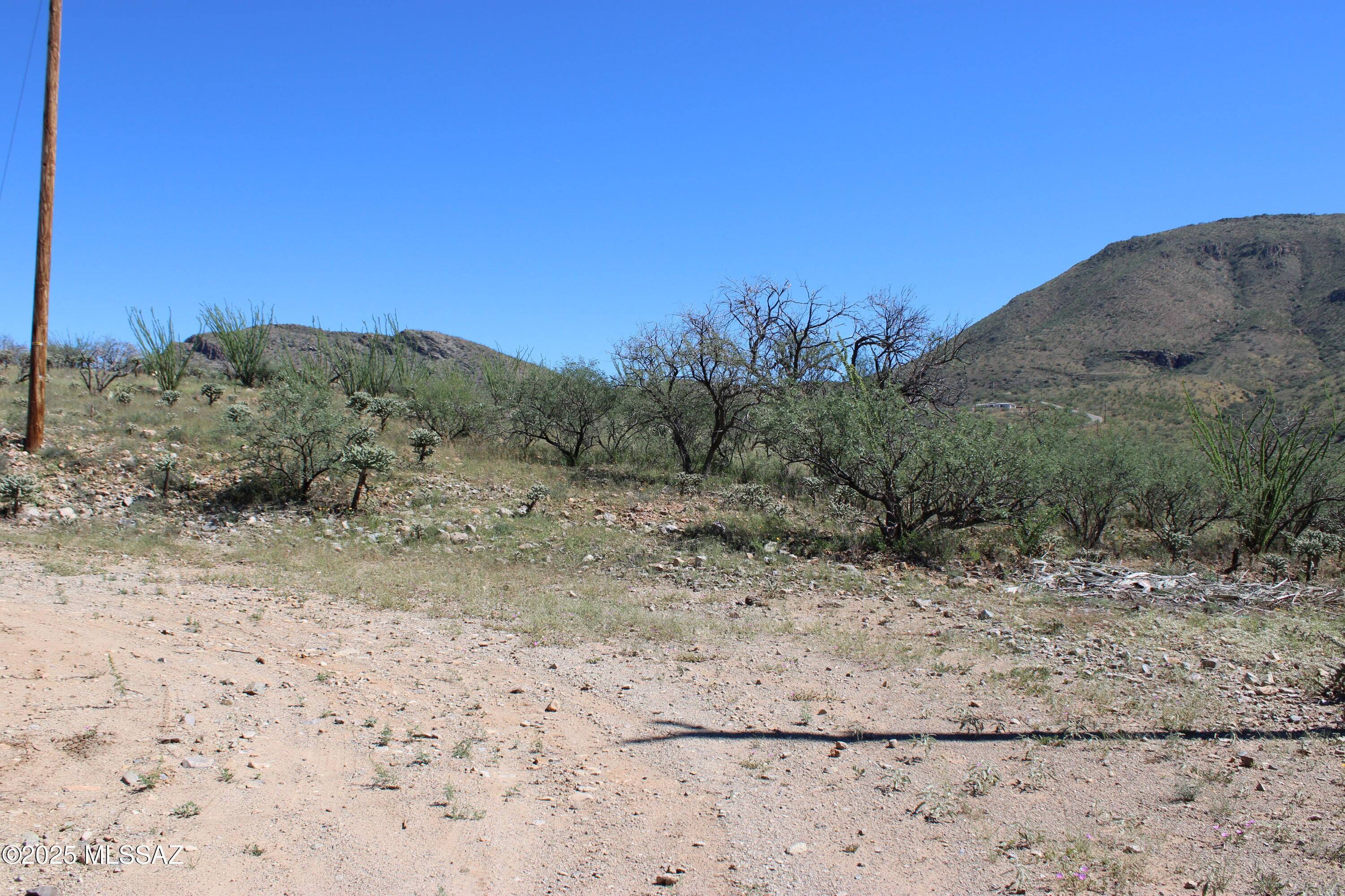 Rio Rico Ranchettes - Land
