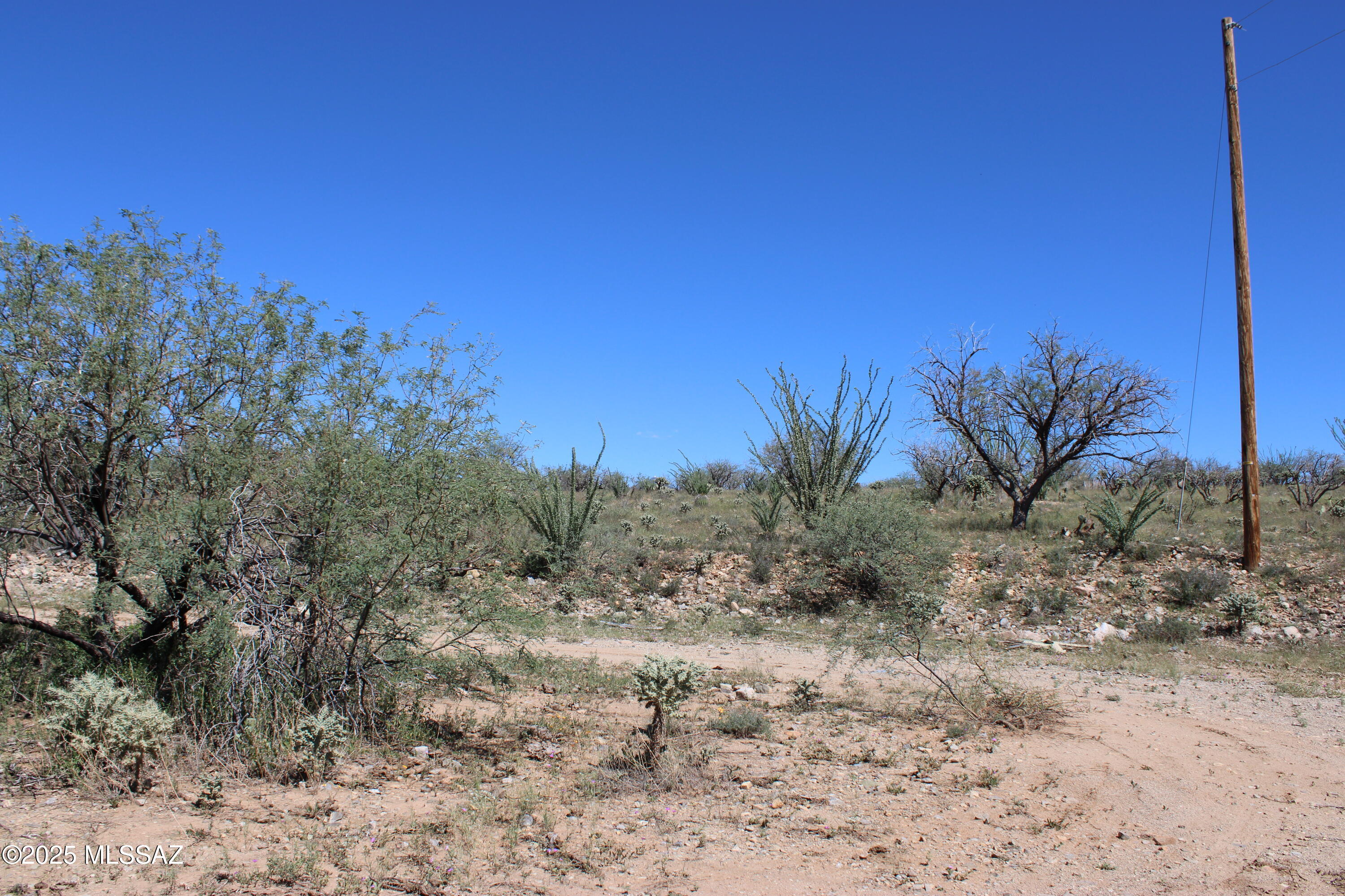 Rio Rico Ranchettes - Land