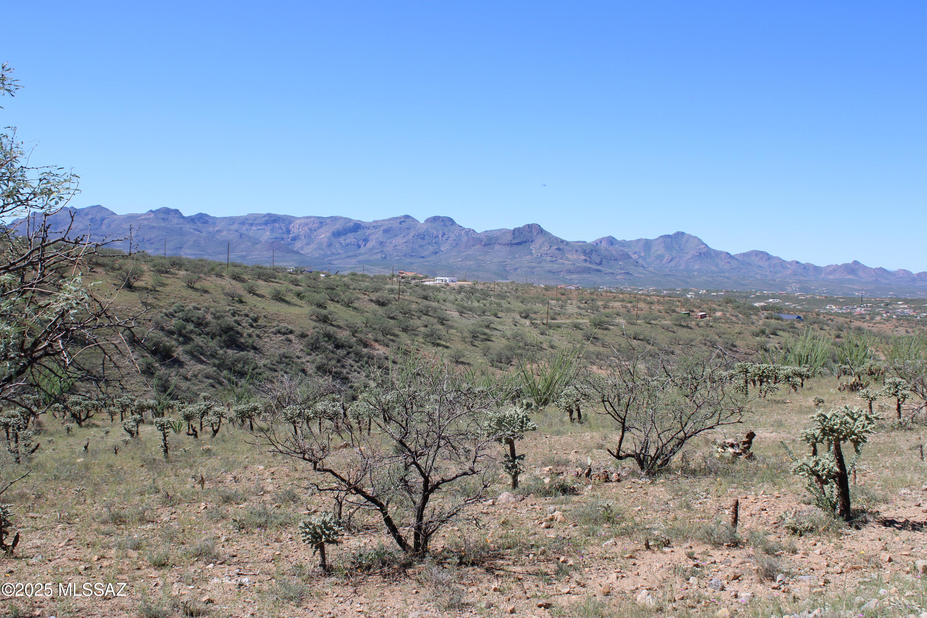 Rio Rico Ranchettes - Land