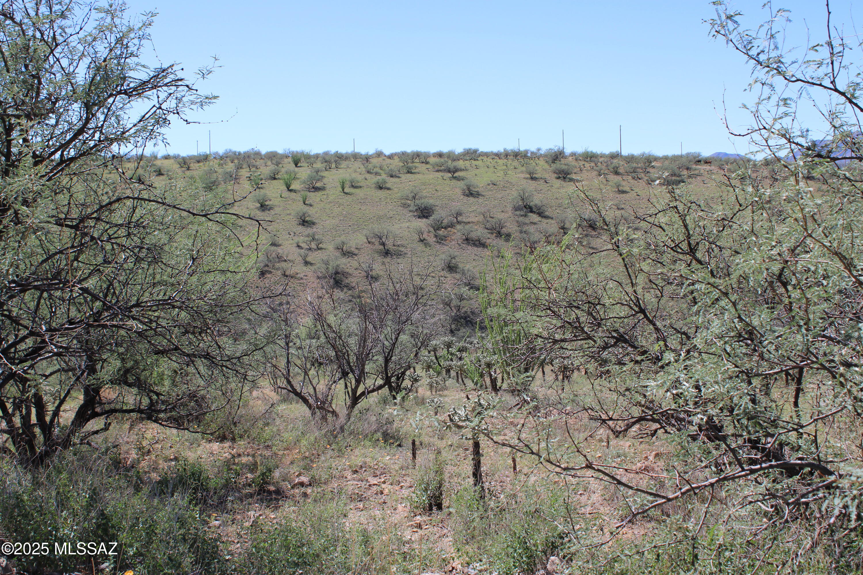 Rio Rico Ranchettes - Land