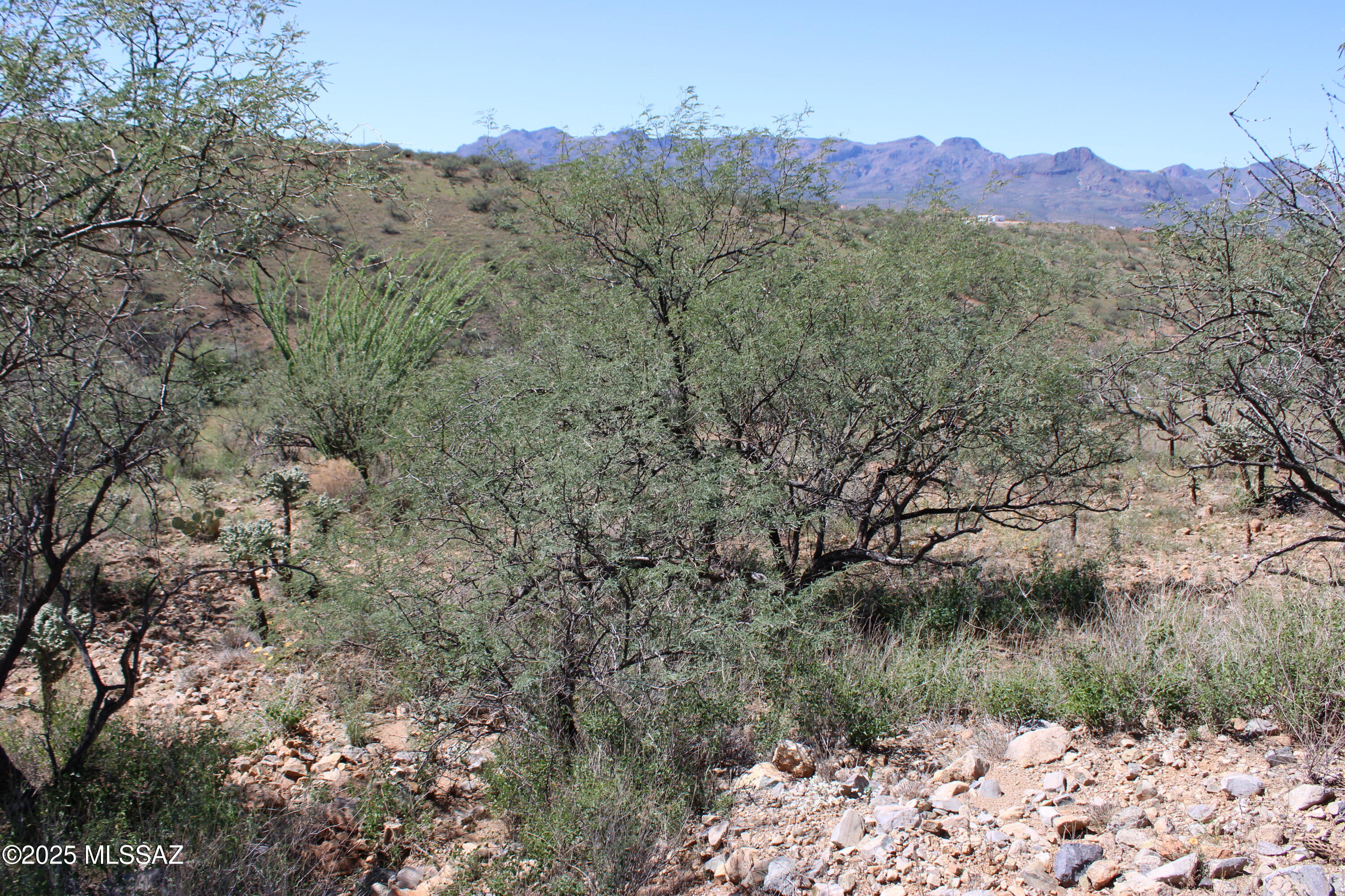 Rio Rico Ranchettes - Land