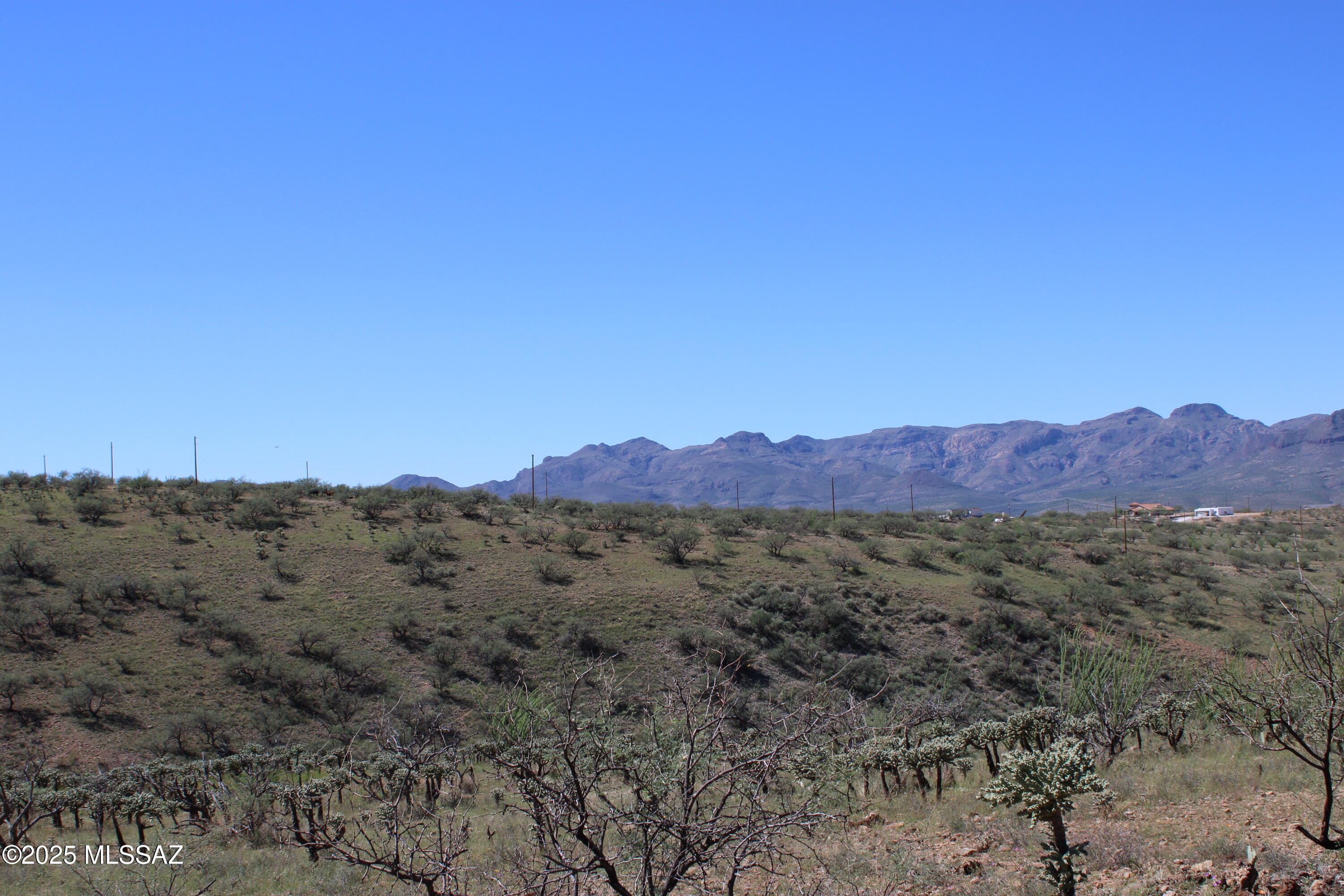 Rio Rico Ranchettes - Land