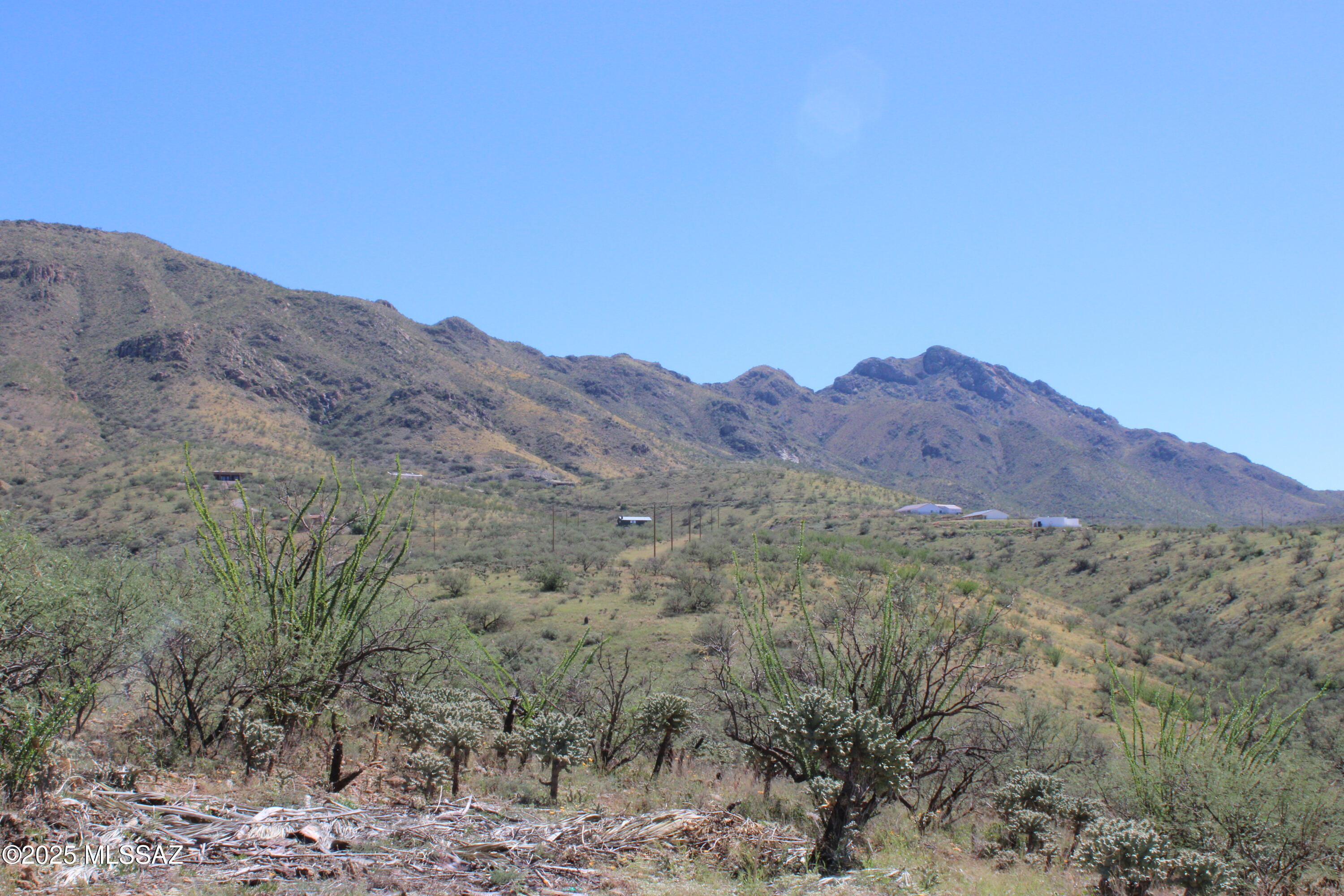 Rio Rico Ranchettes - Land
