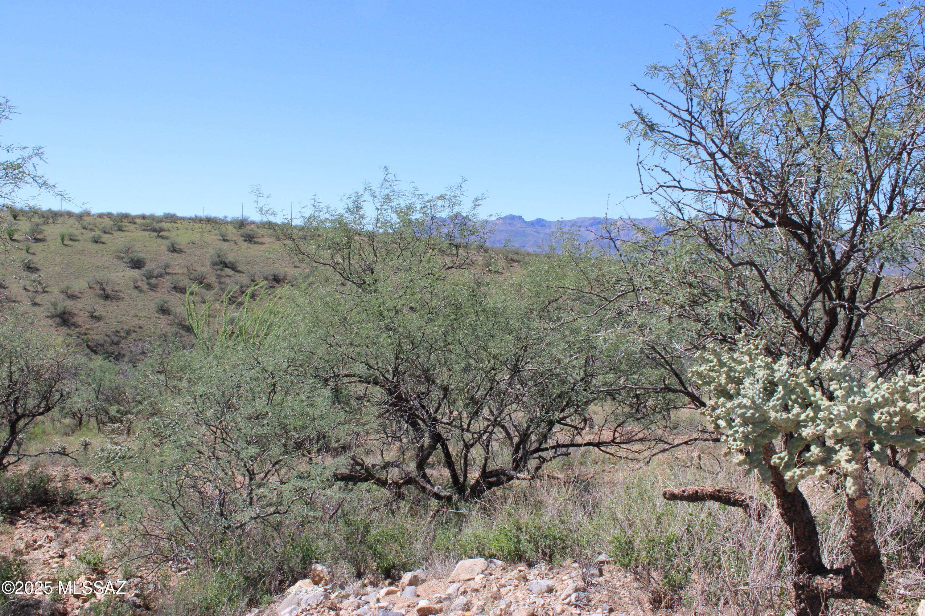 Rio Rico Ranchettes - Land