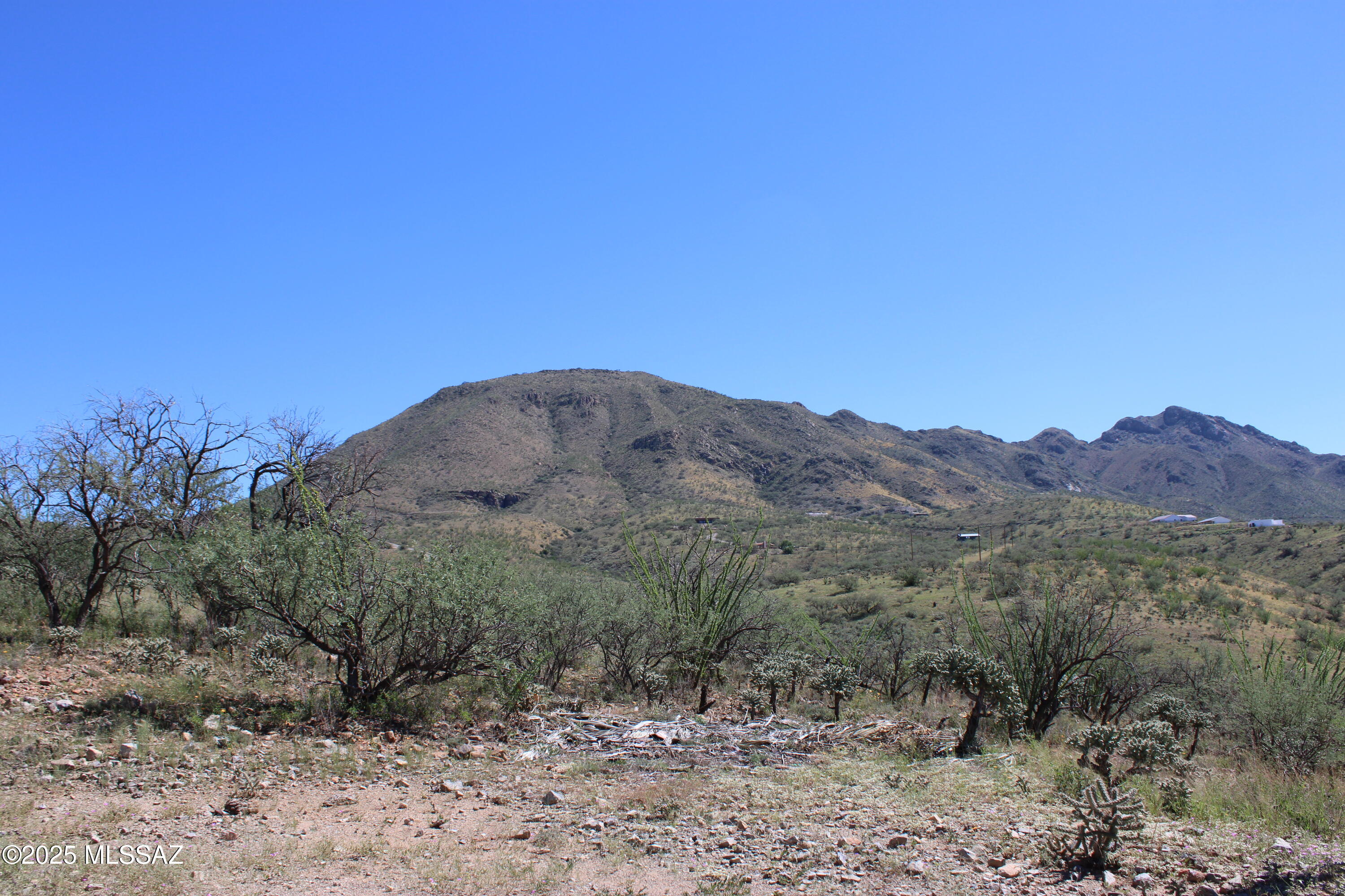 Rio Rico Ranchettes - Land