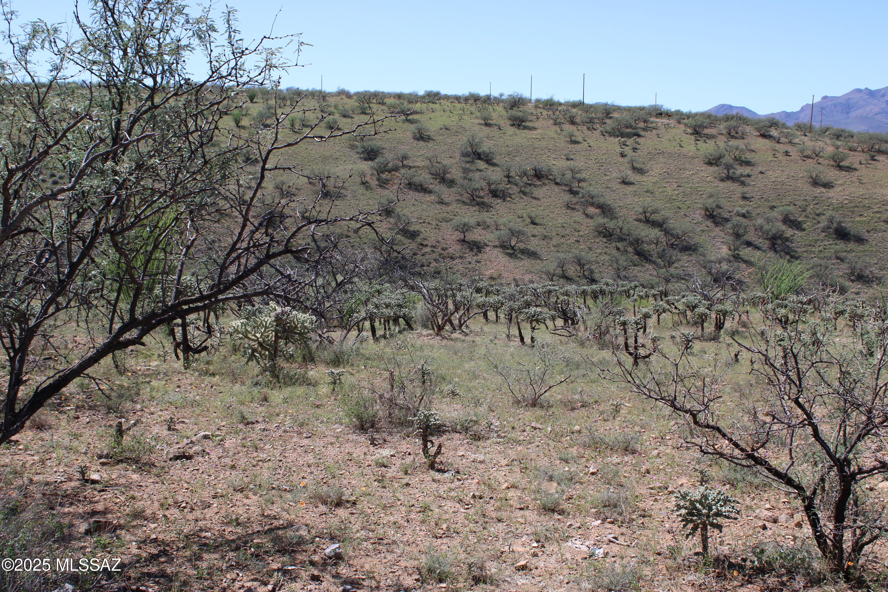 Gradual downhill slope, easy to cut a house pad for building.  Nice remote area, very few neighbors.  Great mountain views.  There are power poles and a water main in the street. Short distance is dirt road, approx 1/4 mile is dirt, the rest is paved.
