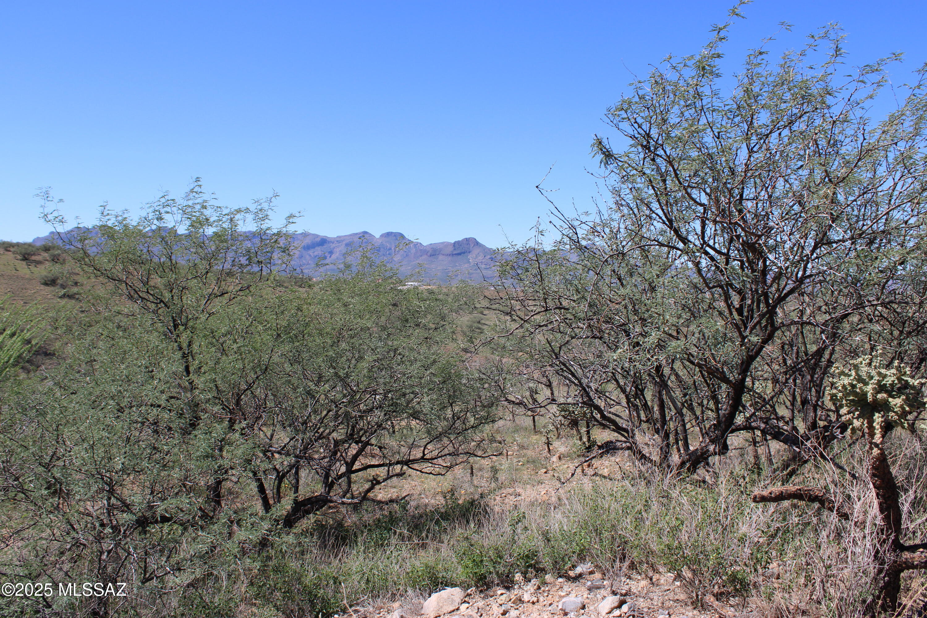 Rio Rico Ranchettes - Land