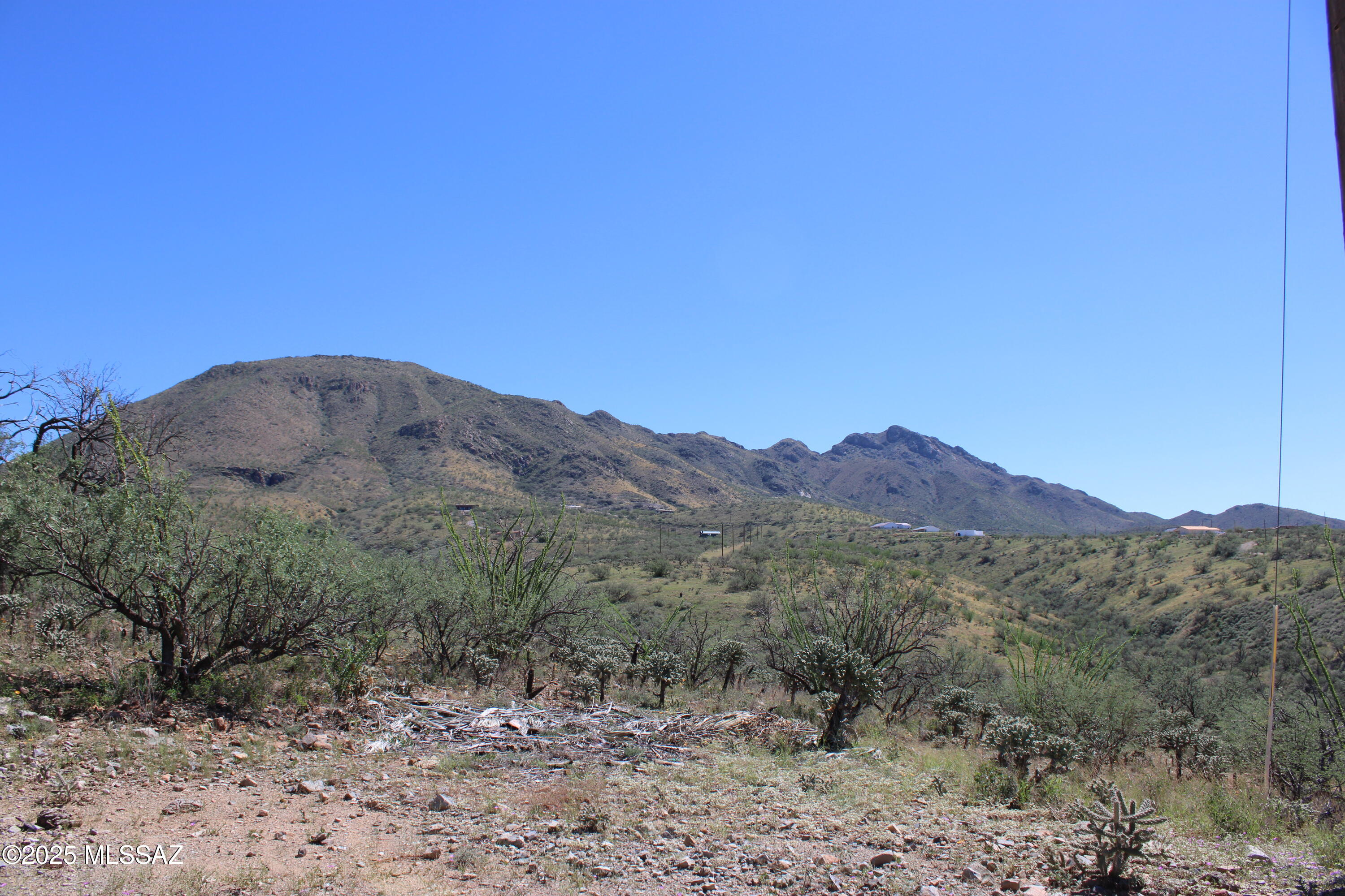 Rio Rico Ranchettes - Land