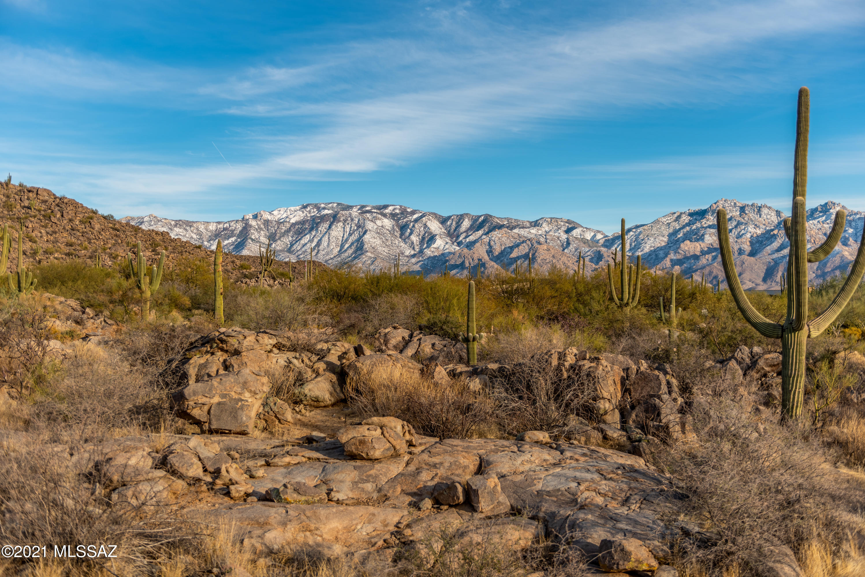 Stone Canyon I - Land