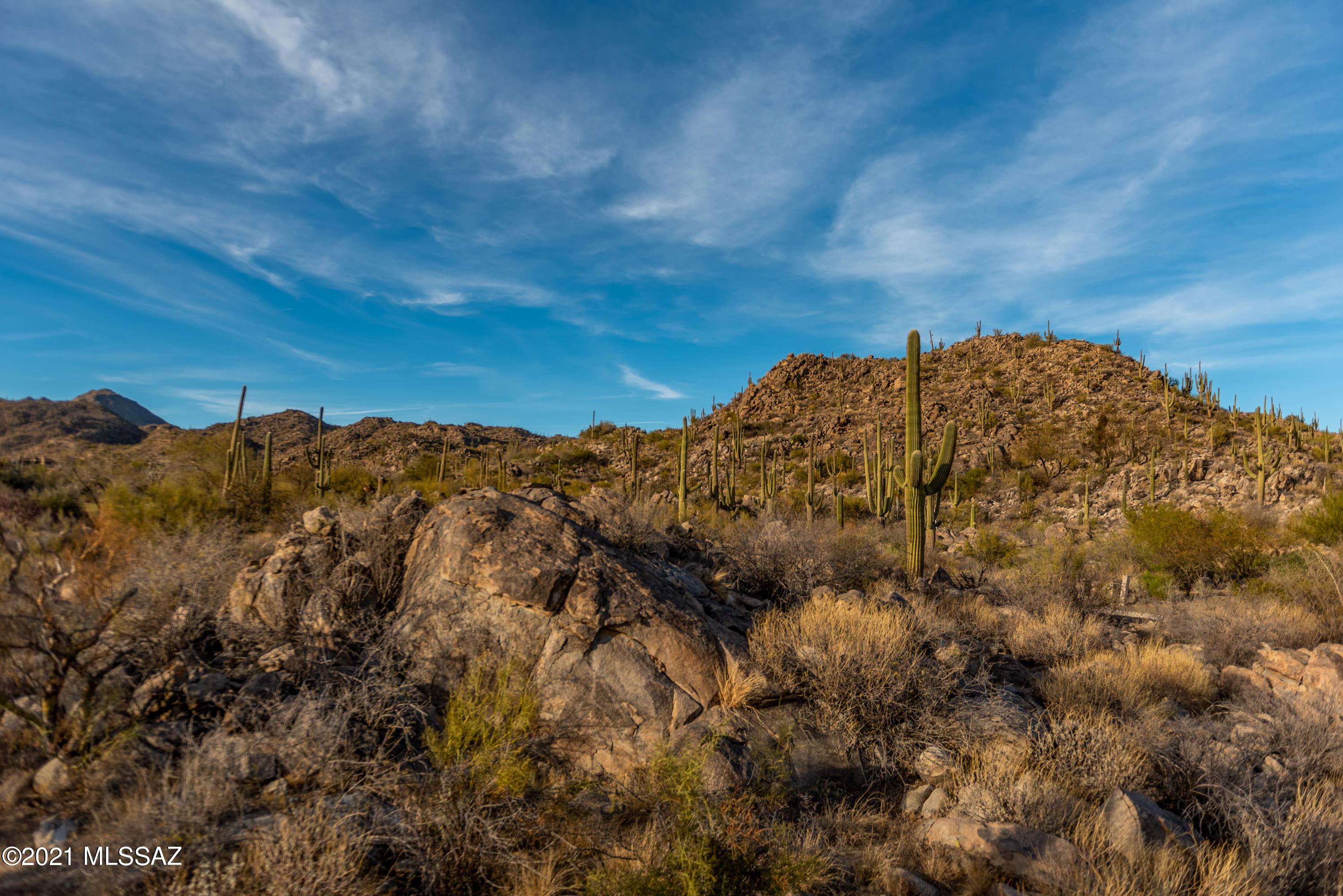 Stone Canyon I - Land