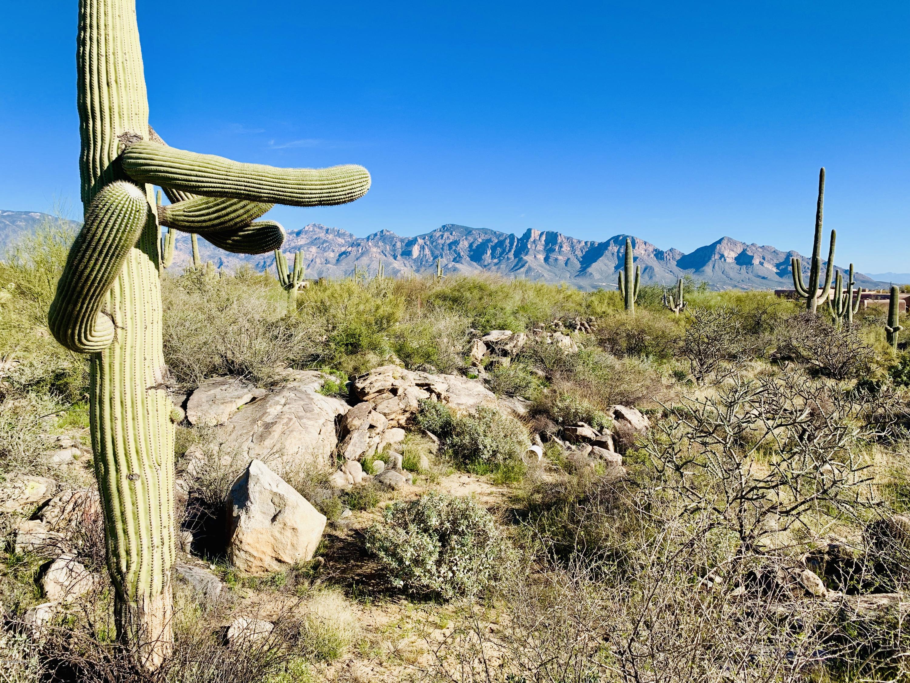 Stone Canyon I - Land