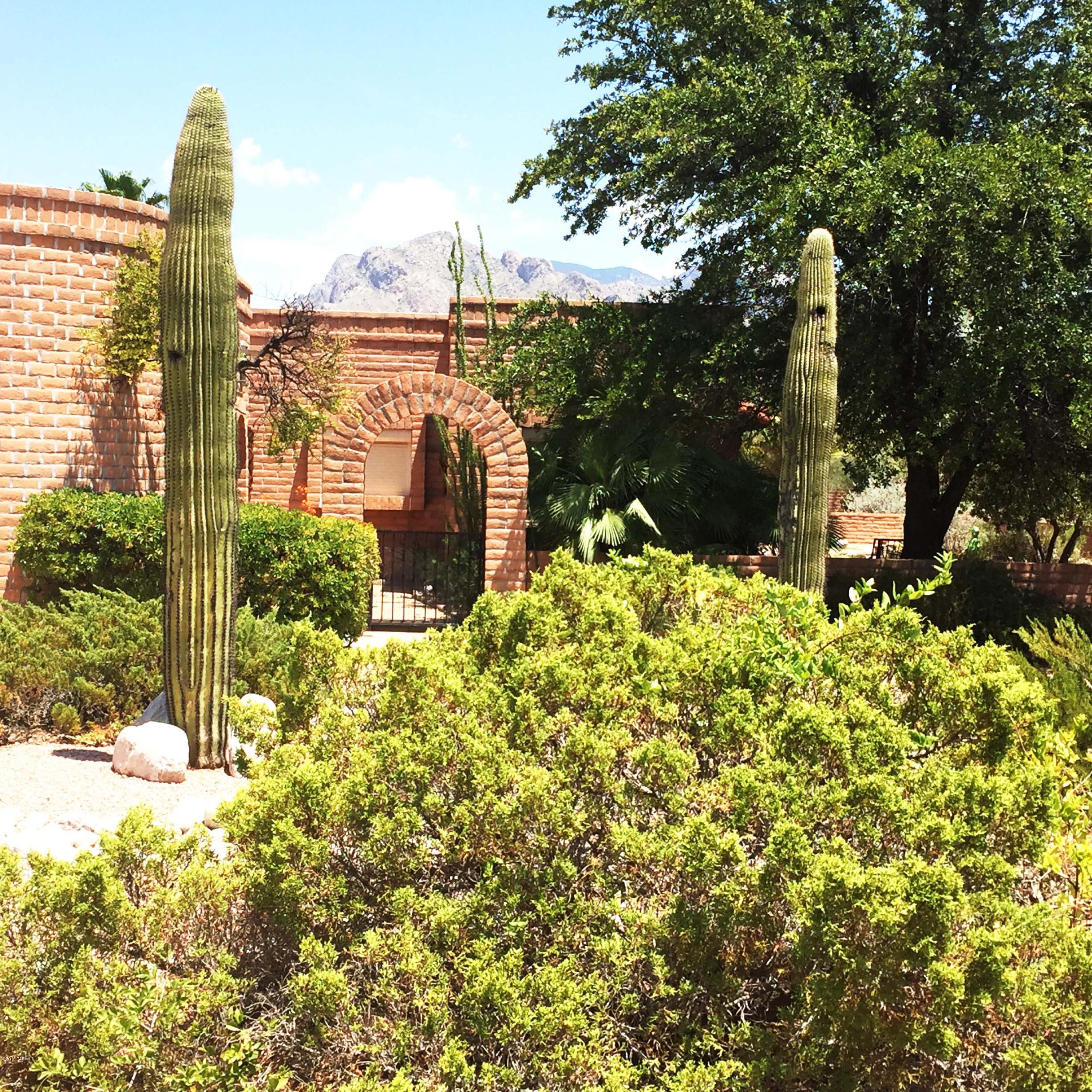 La Cholla Hills(1-313) - Residential