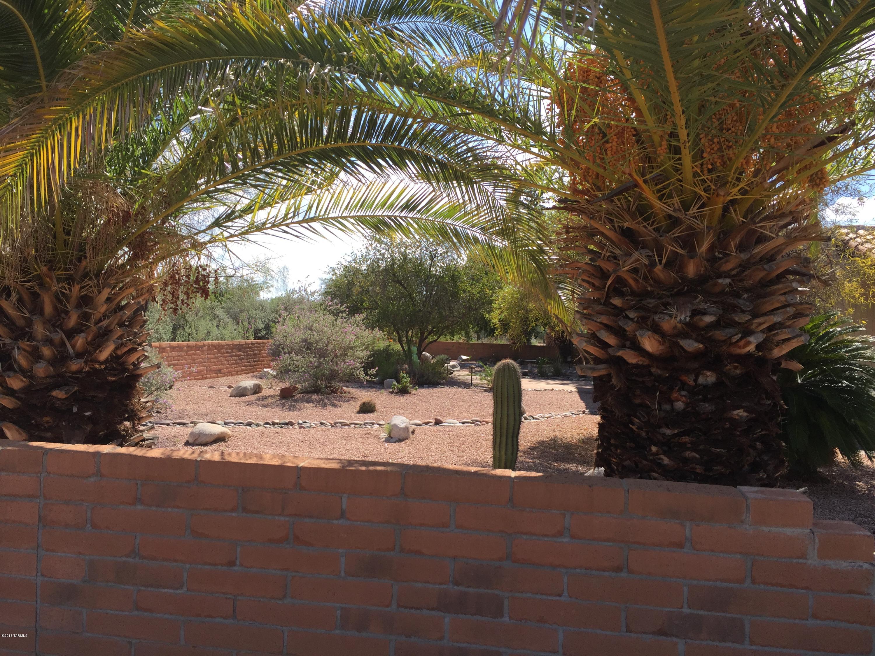 La Cholla Hills(1-313) - Residential