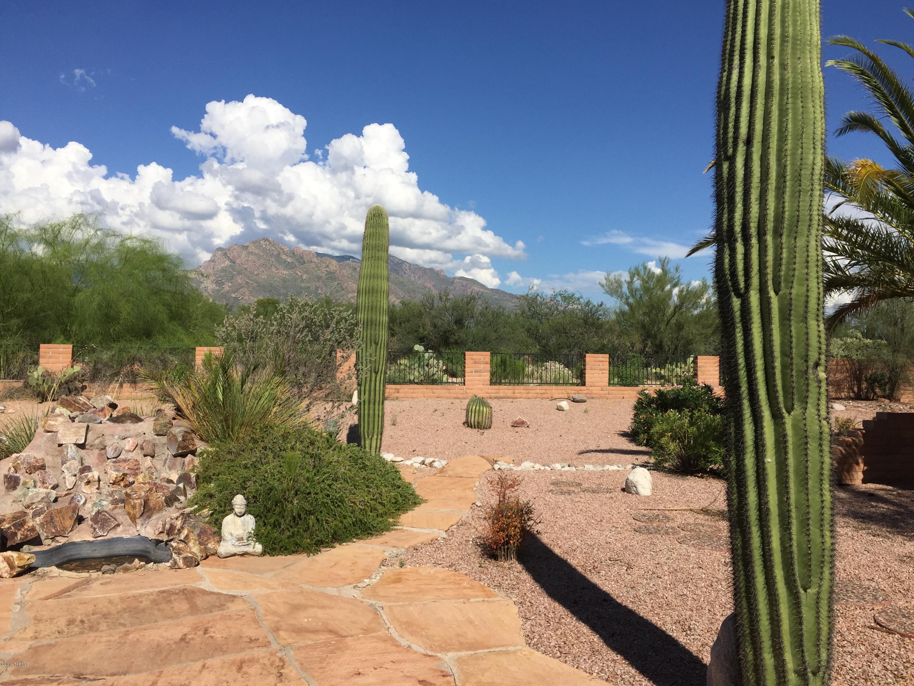La Cholla Hills(1-313) - Residential