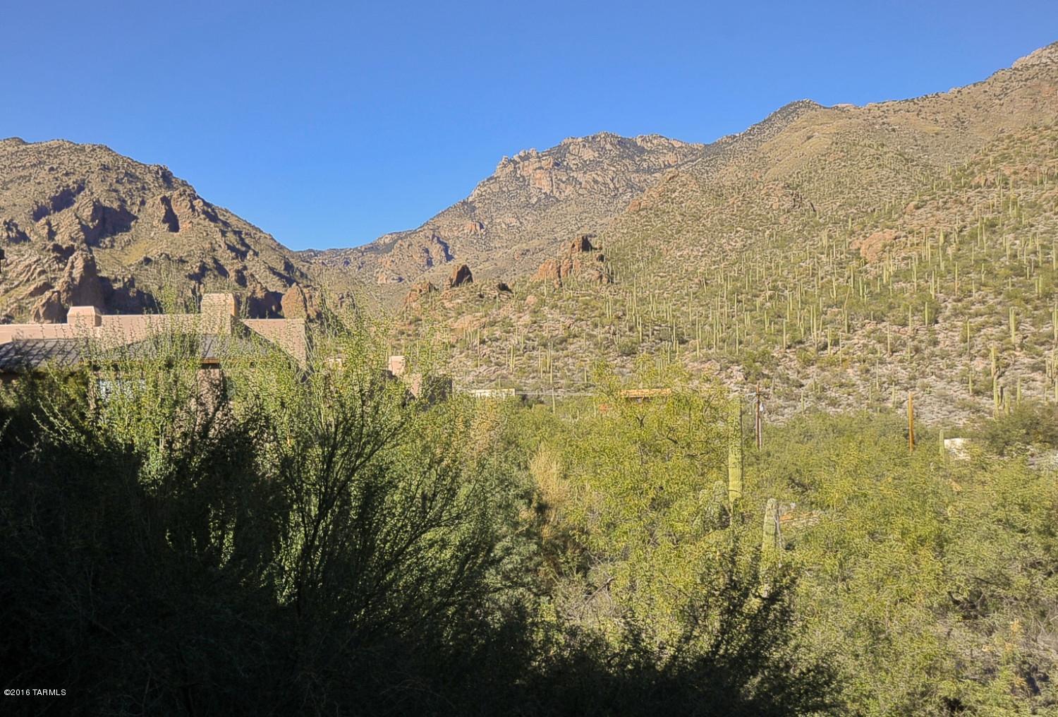 Best location in the subdivision, views, views and views. Wall of windows. Unbelievable!!  New paint, new carpet, new kitchen stainless steel appliances, W/D included.  Quiet patio area over looks lush desert and mountain canyons.