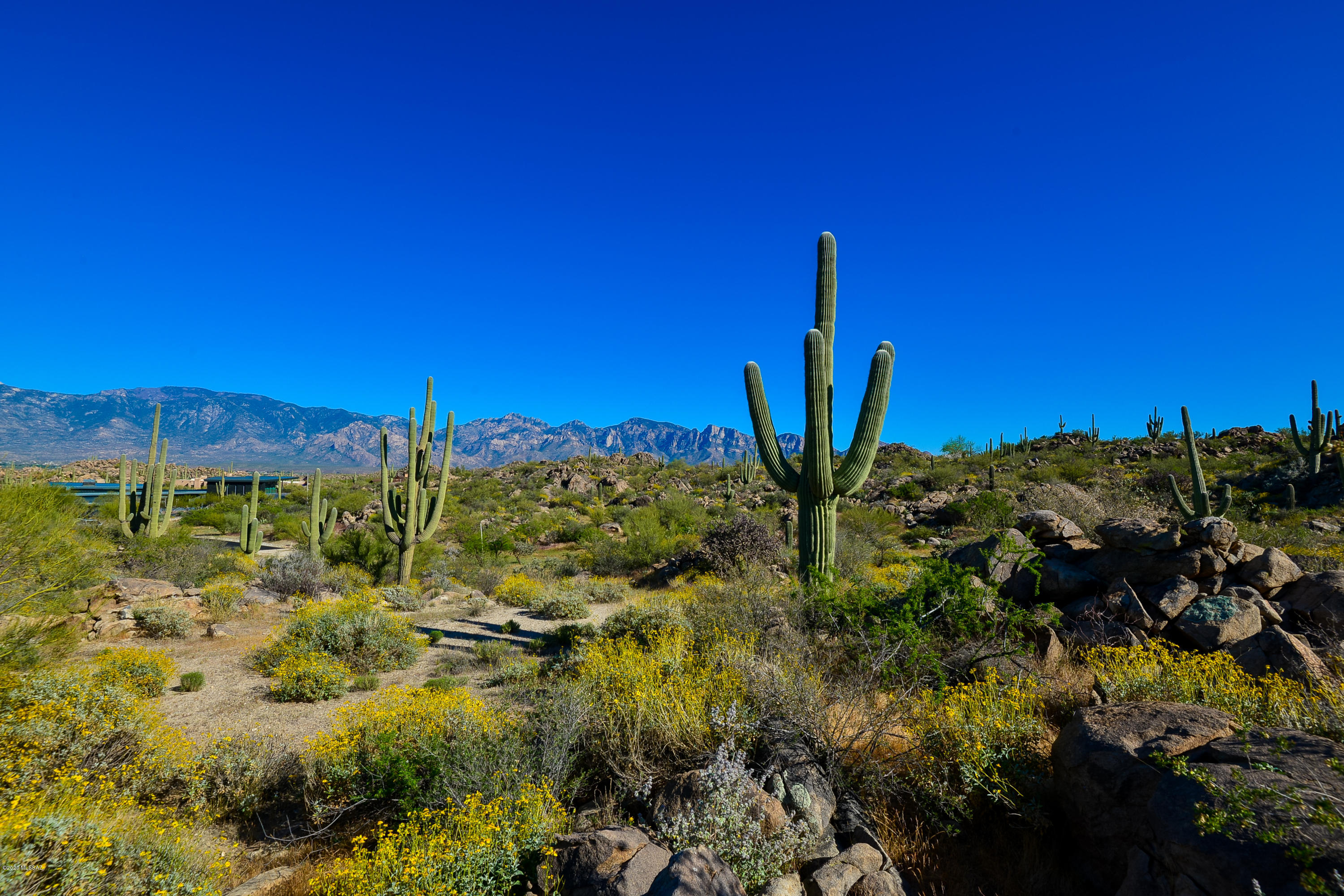 Stone Canyon IV - Land