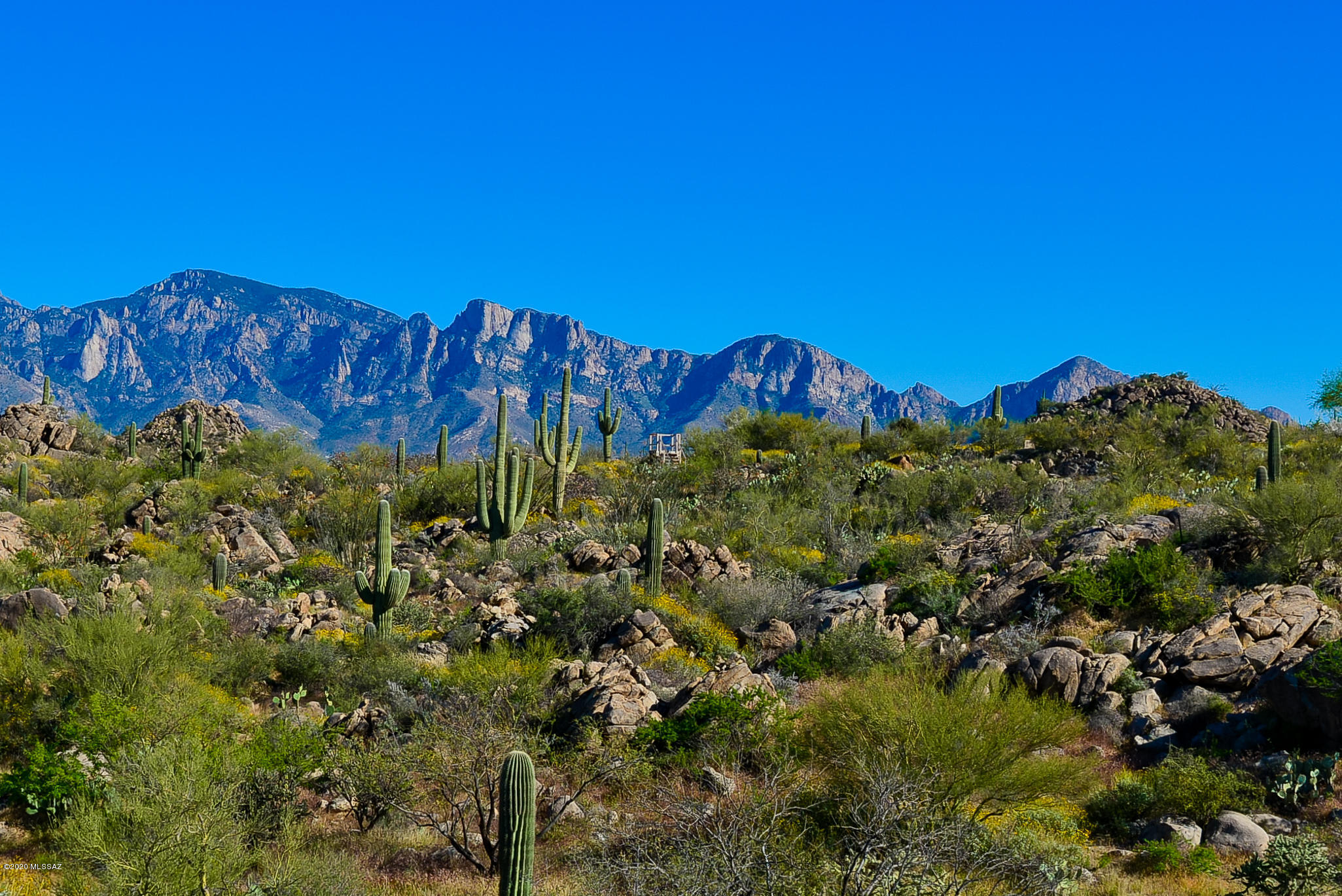 Stone Canyon IV - Land