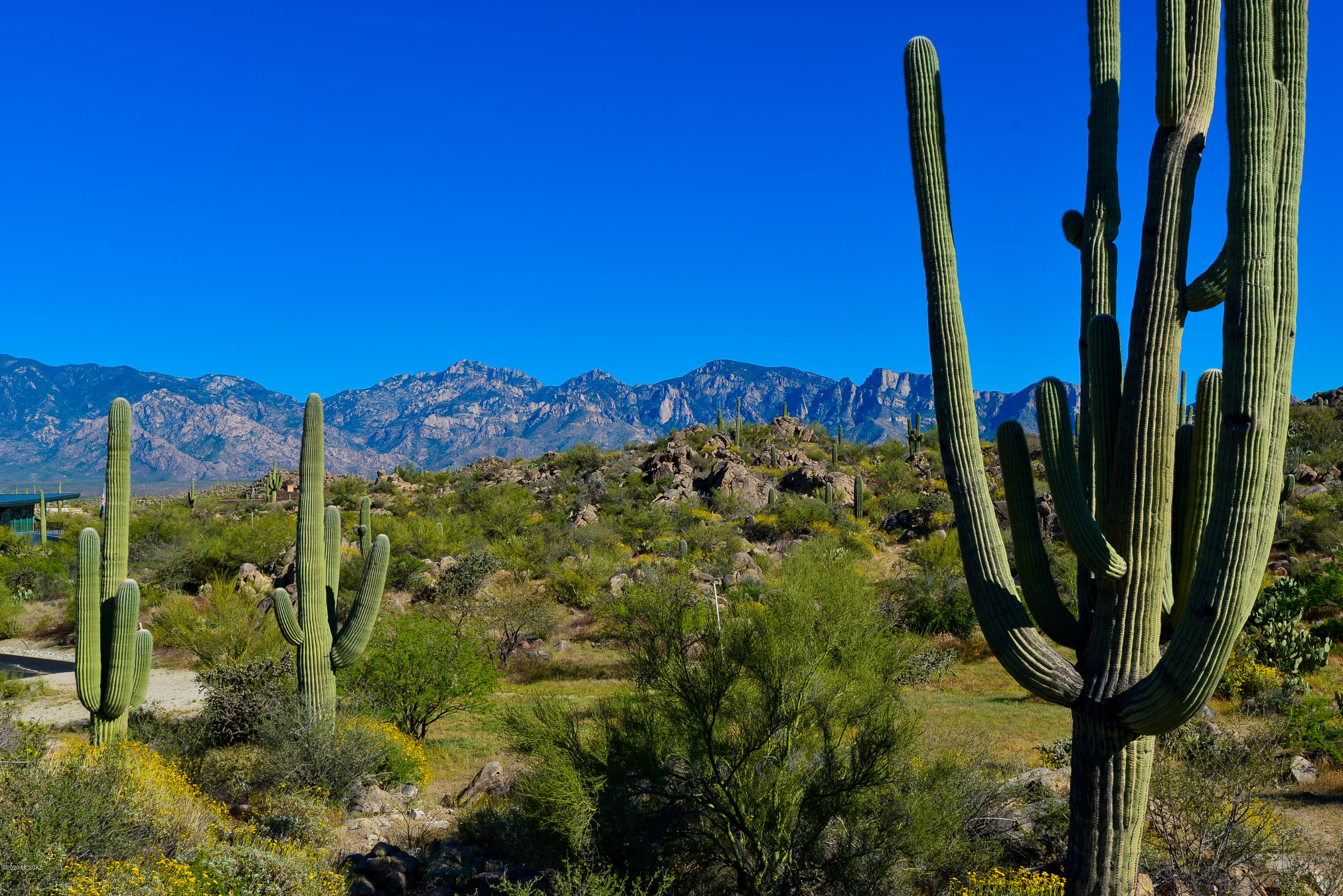 Stone Canyon IV - Land