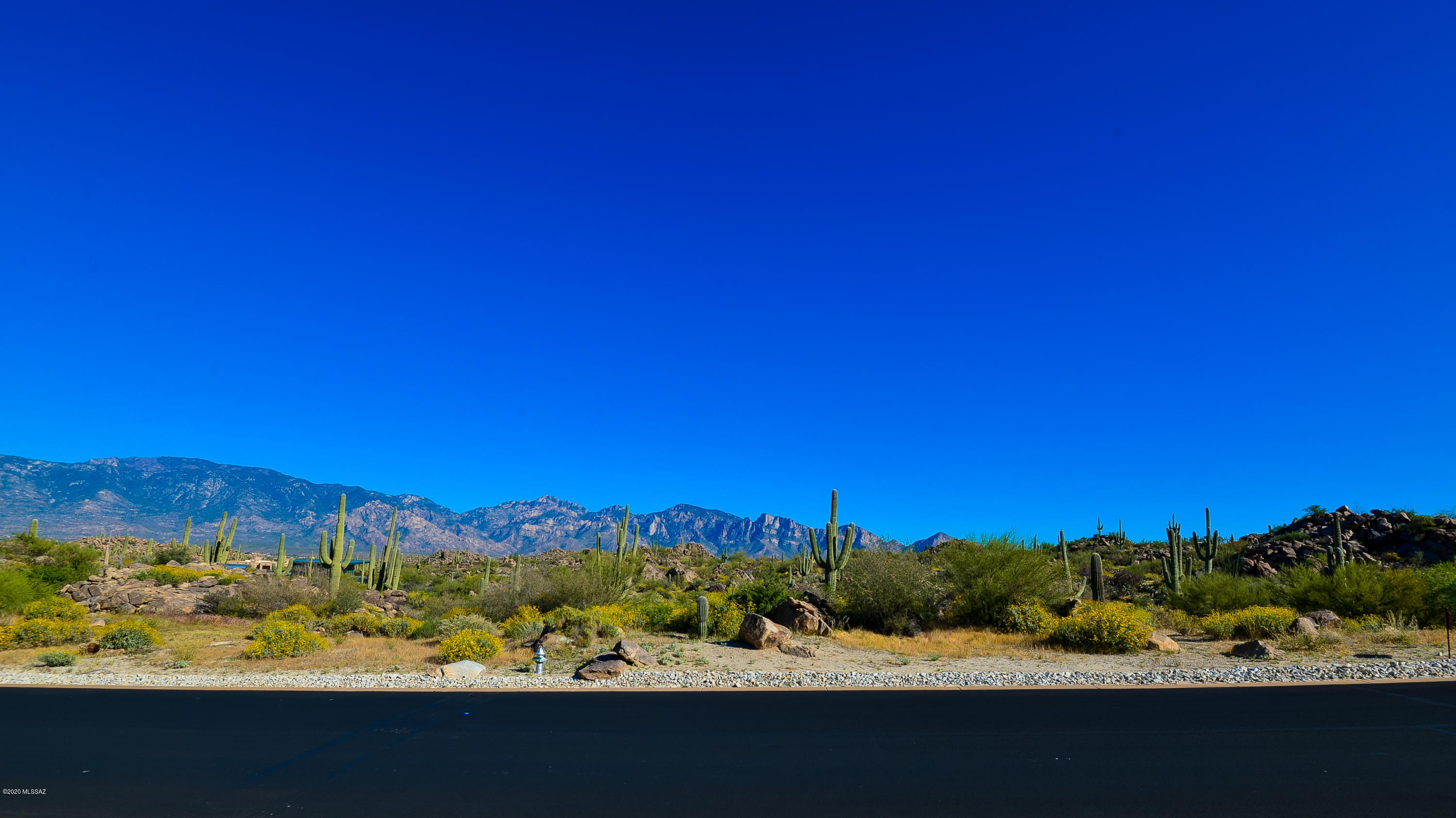 Stone Canyon IV - Land