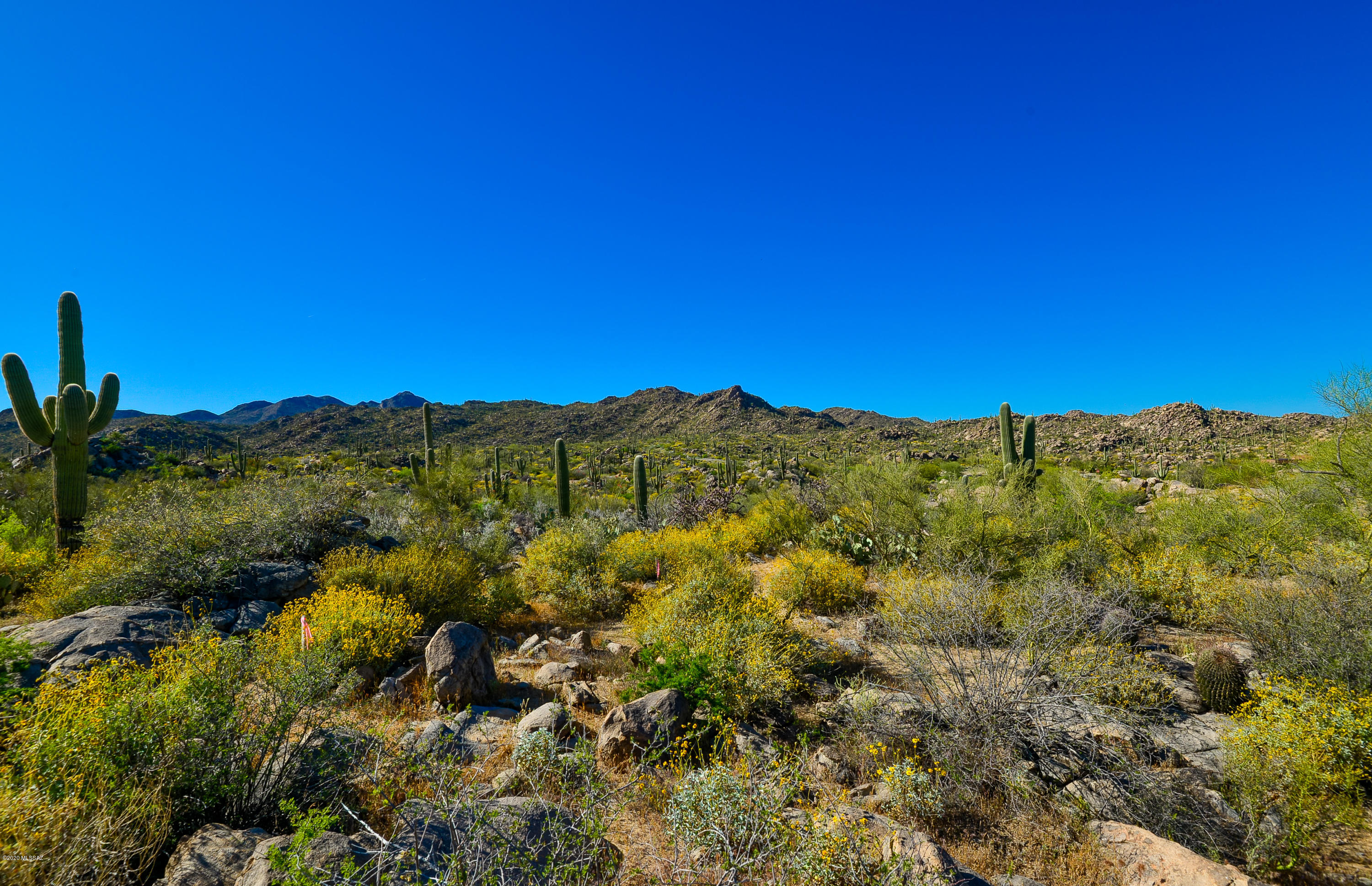 Stone Canyon IV - Land