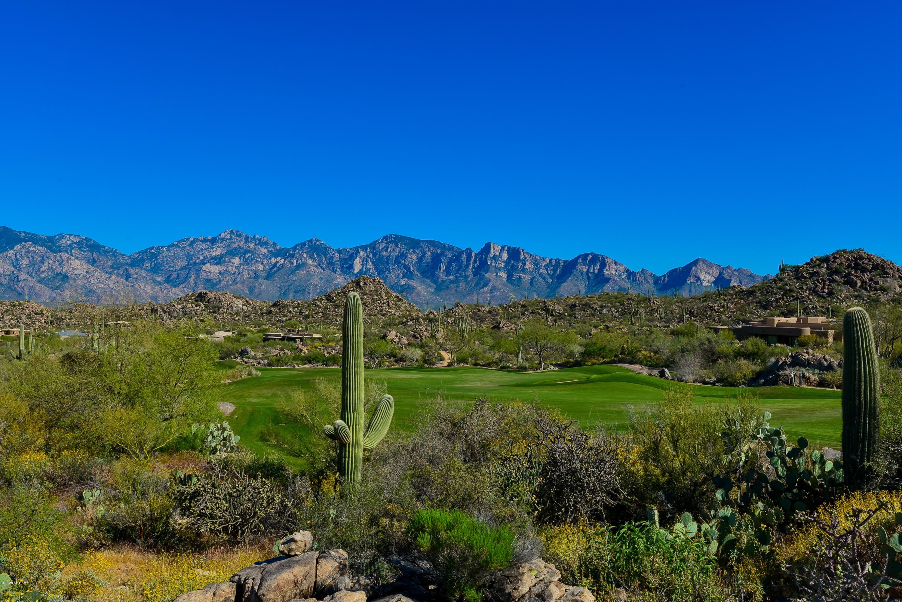 Truly phenomenal property overlooking the 8th green of the acclaimed championship Stone Canyon Golf Club golf course owned by Phil Mickelson and Steve Loy! Enjoy sweeping views of the entire Catalina Mountain range, total privacy & an absolutely remarkable terrain with this marvelous 2.75 Acre saguaro-studded land. Bordering 19 Acres of State land, this is one of the highest sites within Stone Canyon & offers incredibly stunning locations with amazing views & total privacy on which to design your custom home. Concept plan by ''Master of the Southwest'' architect Ron Robinette shows one design option (see Documents section). Exceptional property for a discerning buyer! Stone Canyon is a 1400 Acre private guard-gated residential golf community in Oro Valley/NW Tucson. Club Membership req'd.