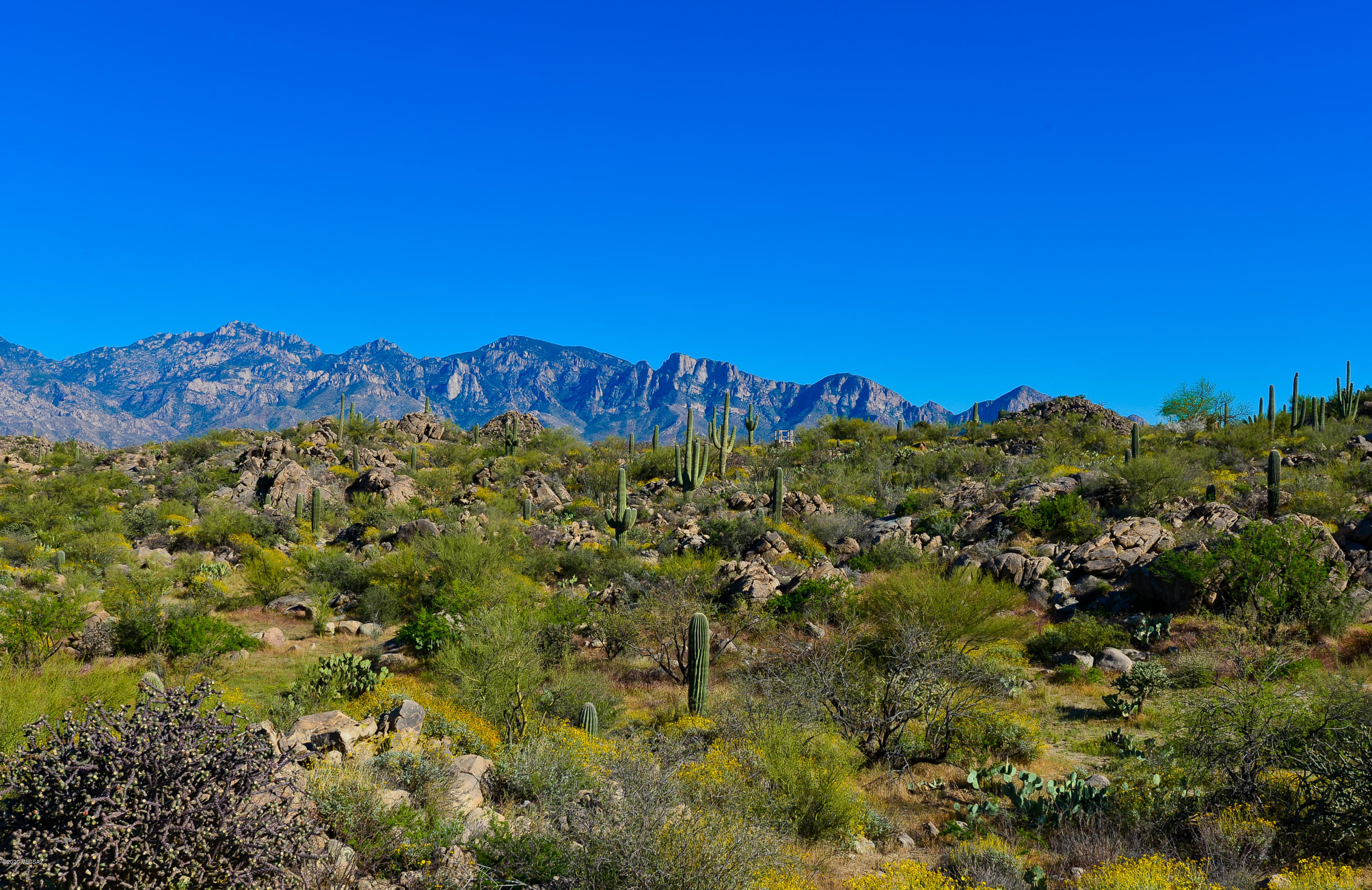 Stone Canyon IV - Land
