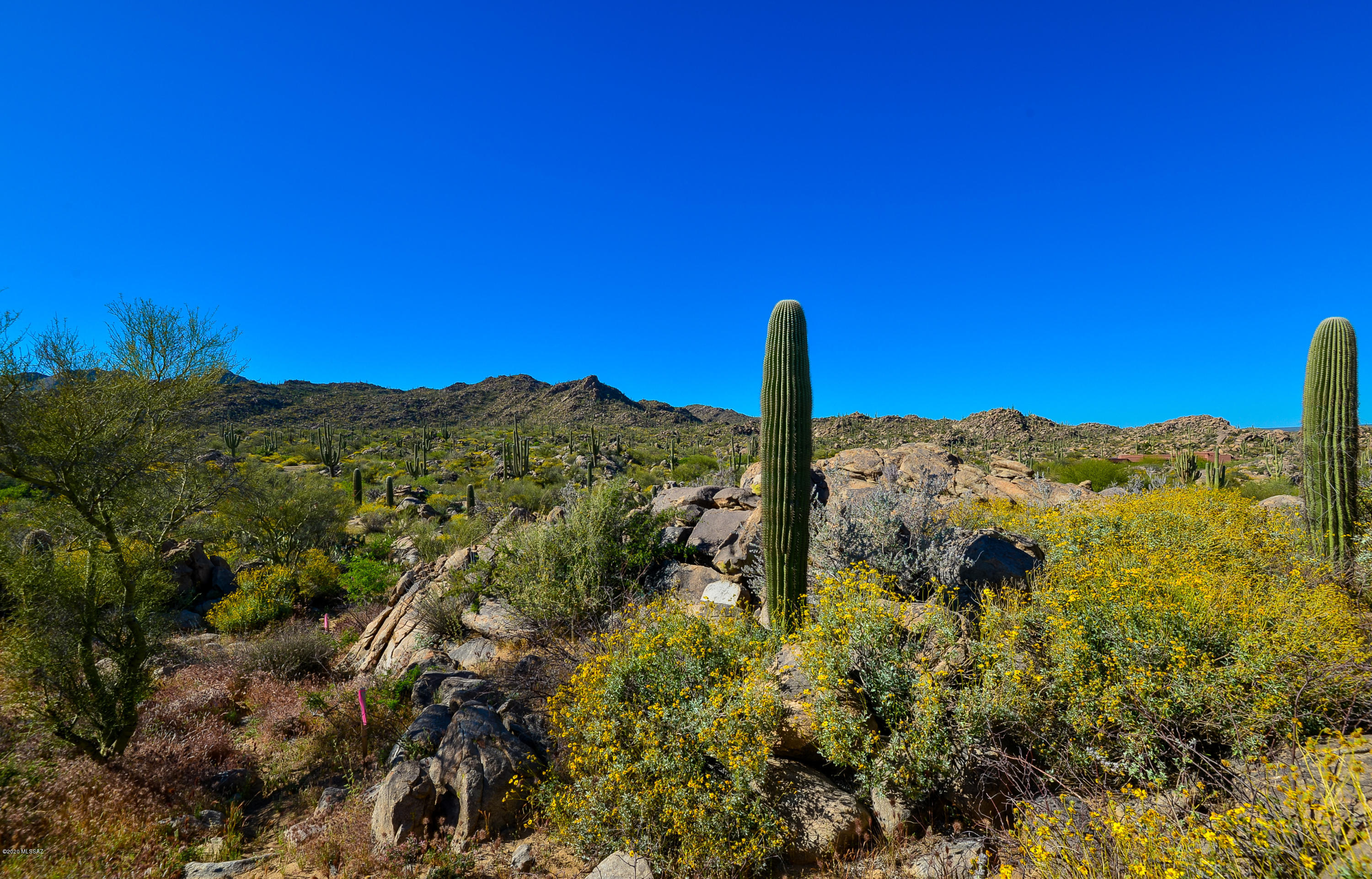 Stone Canyon IV - Land