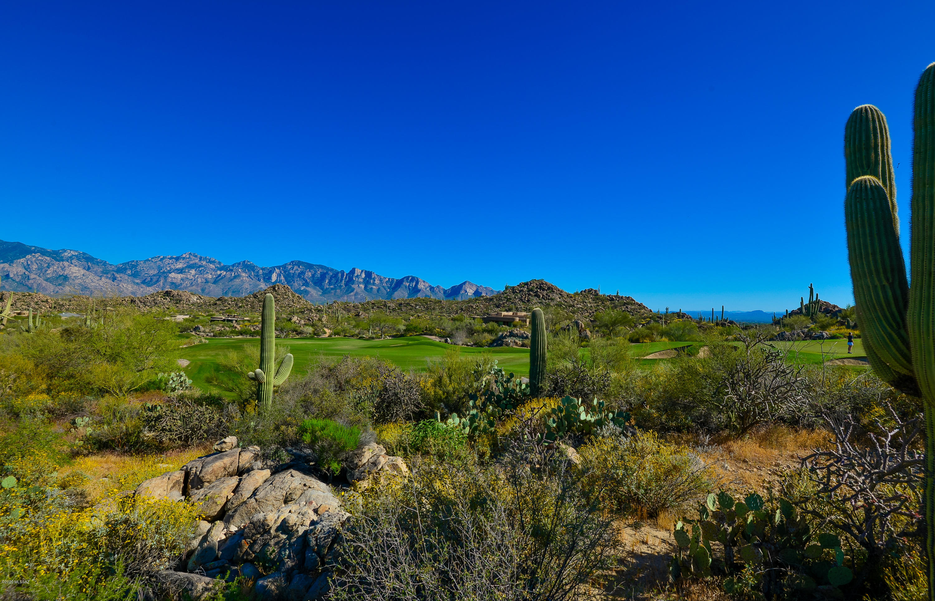 Stone Canyon IV - Land