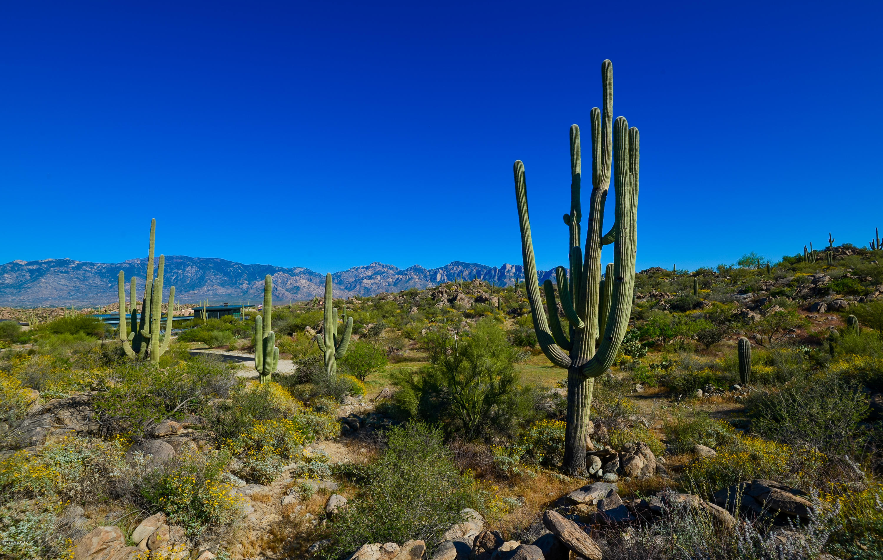 Stone Canyon IV - Land