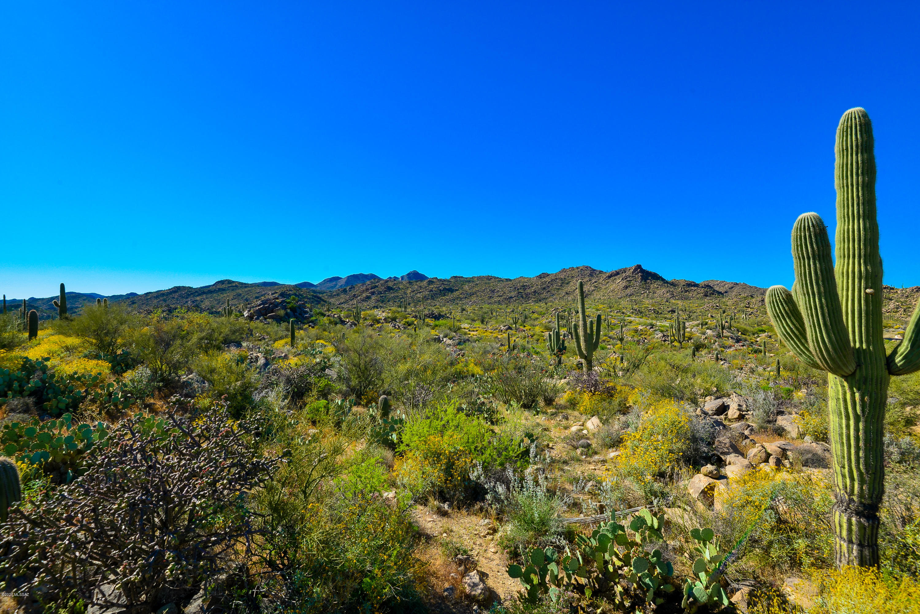 Stone Canyon IV - Land