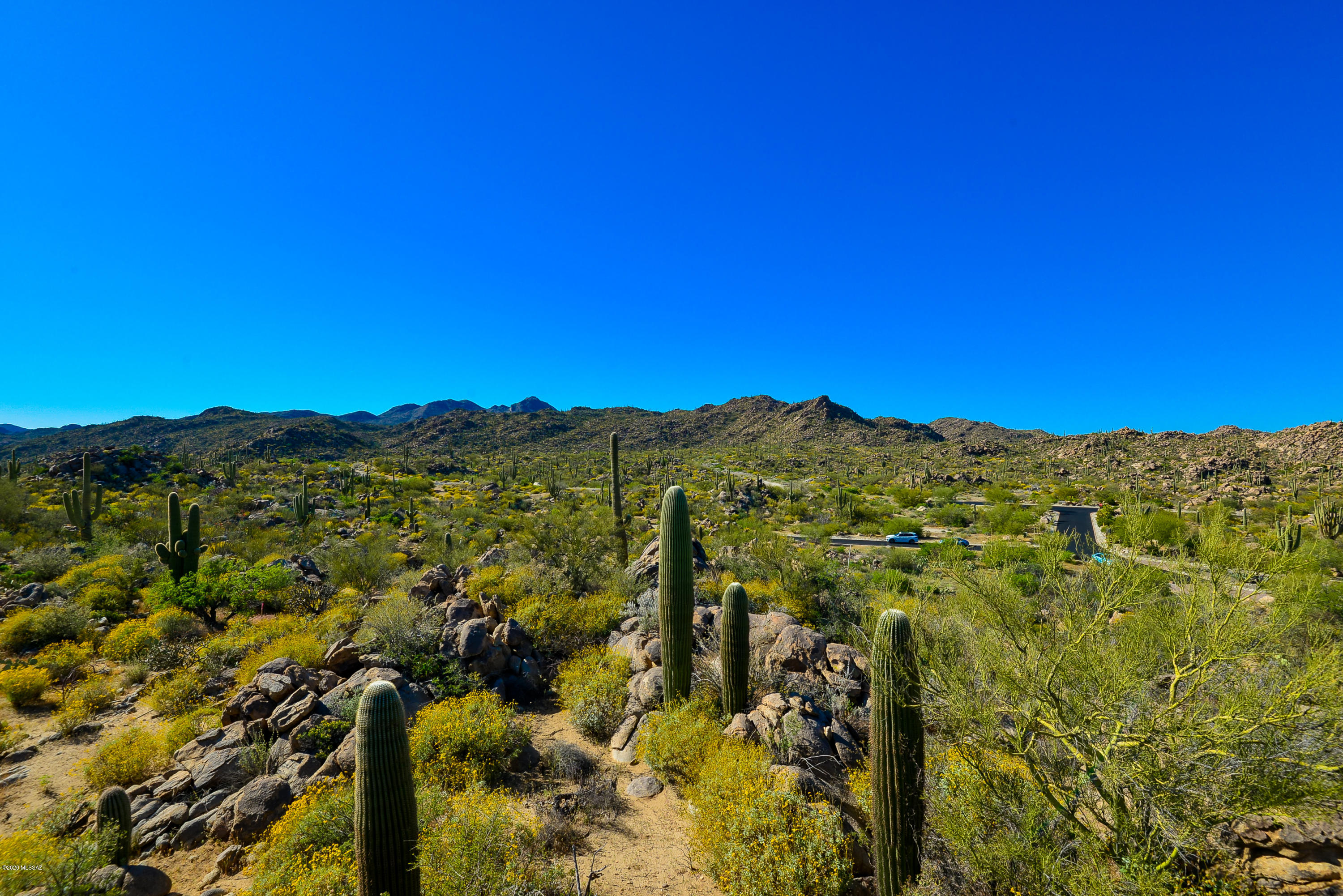 Stone Canyon IV - Land