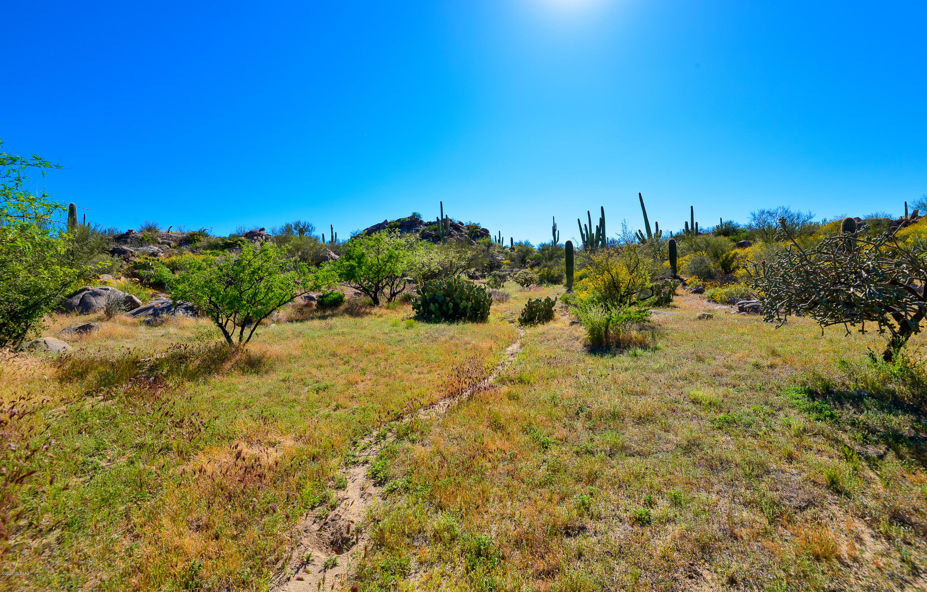 Stone Canyon IV - Land
