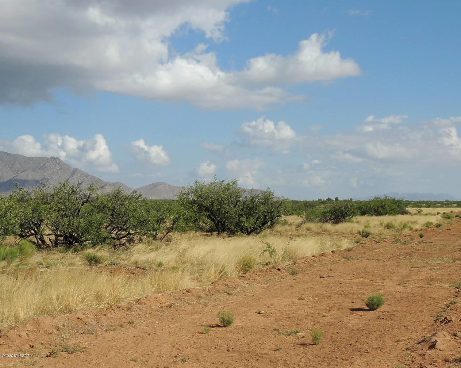 Out Of Pima County - Land