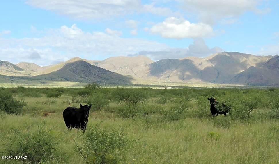 Out Of Pima County - Land