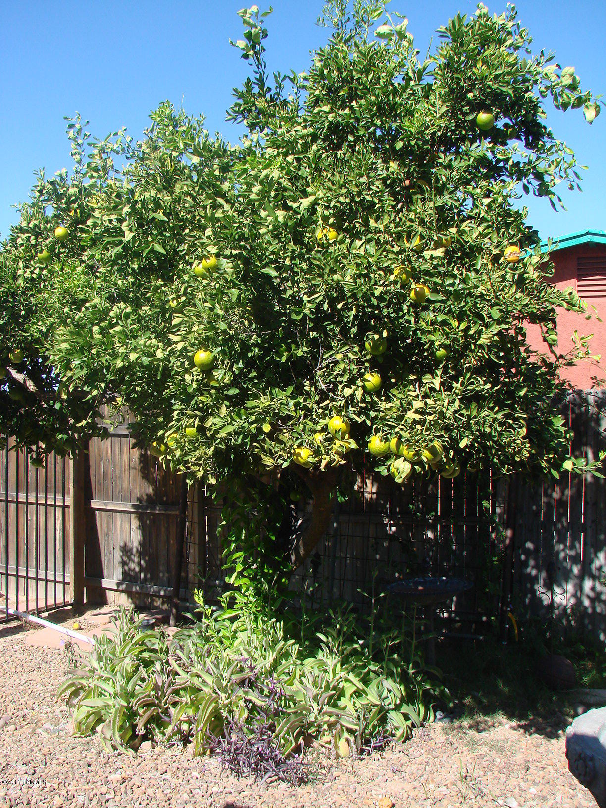 Sunny Hills Estates(1-170) - Residential