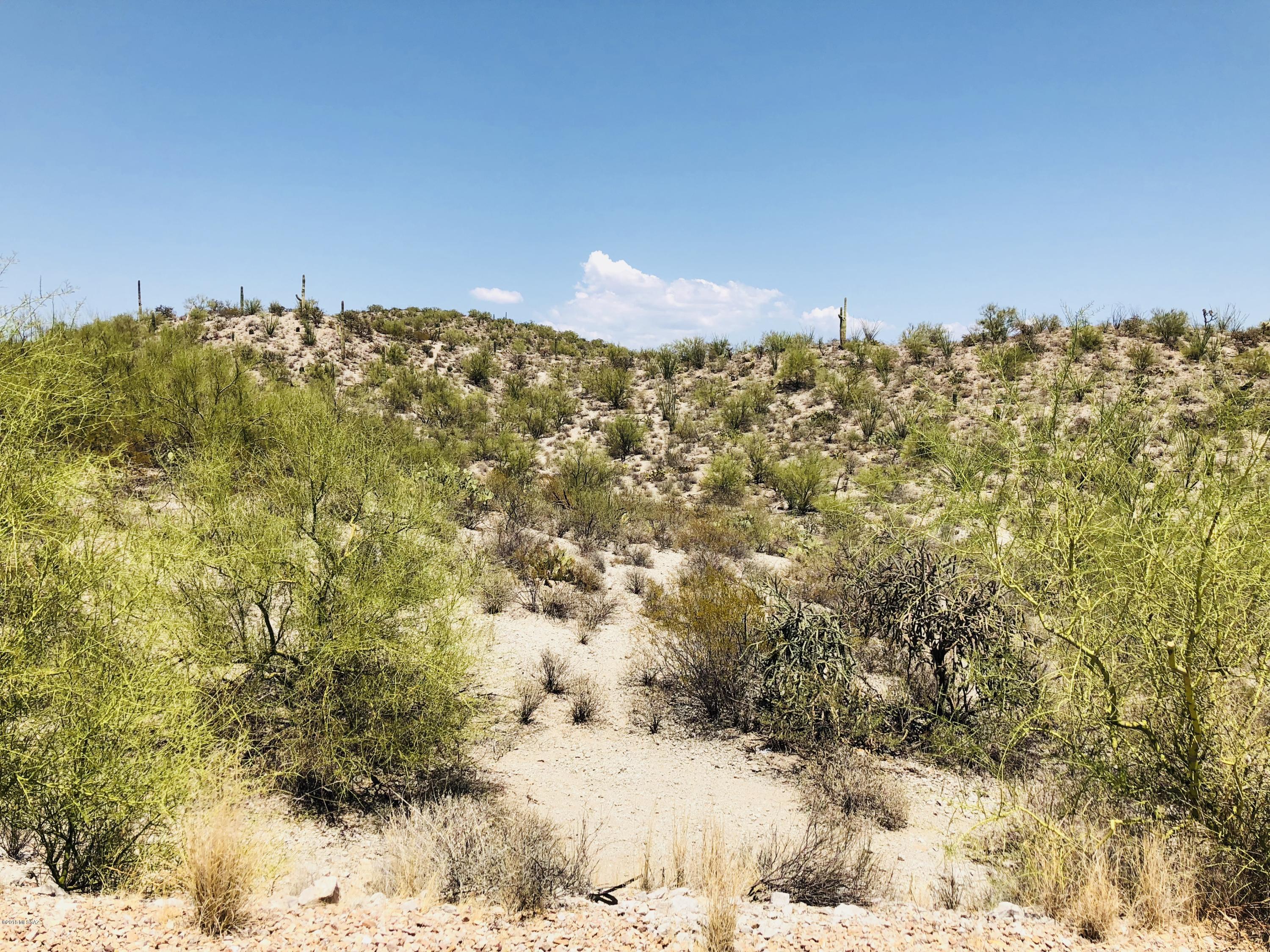 Coyote Pass Amended - Land