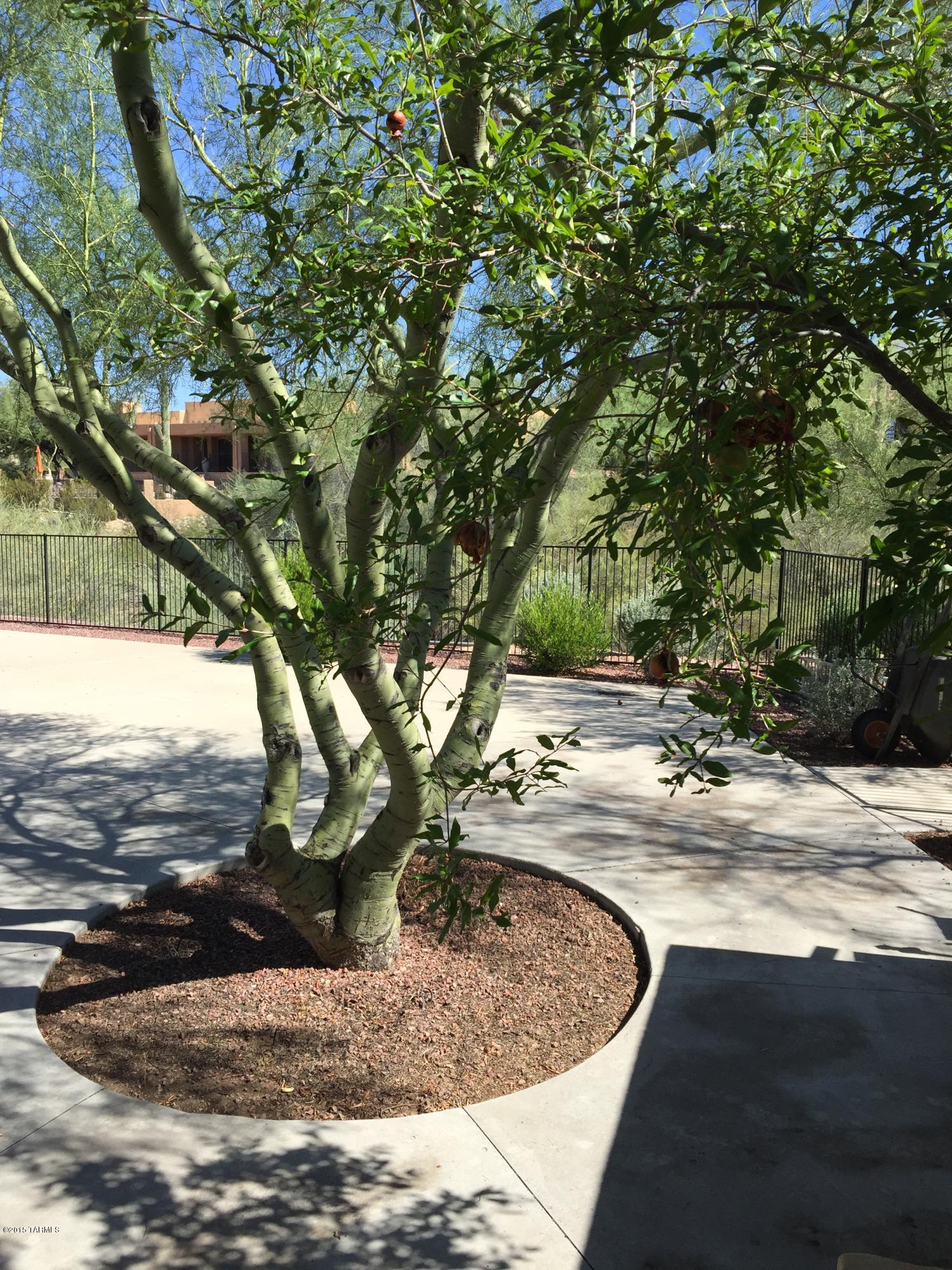 Shadow Hills (1-483) - Residential Lease