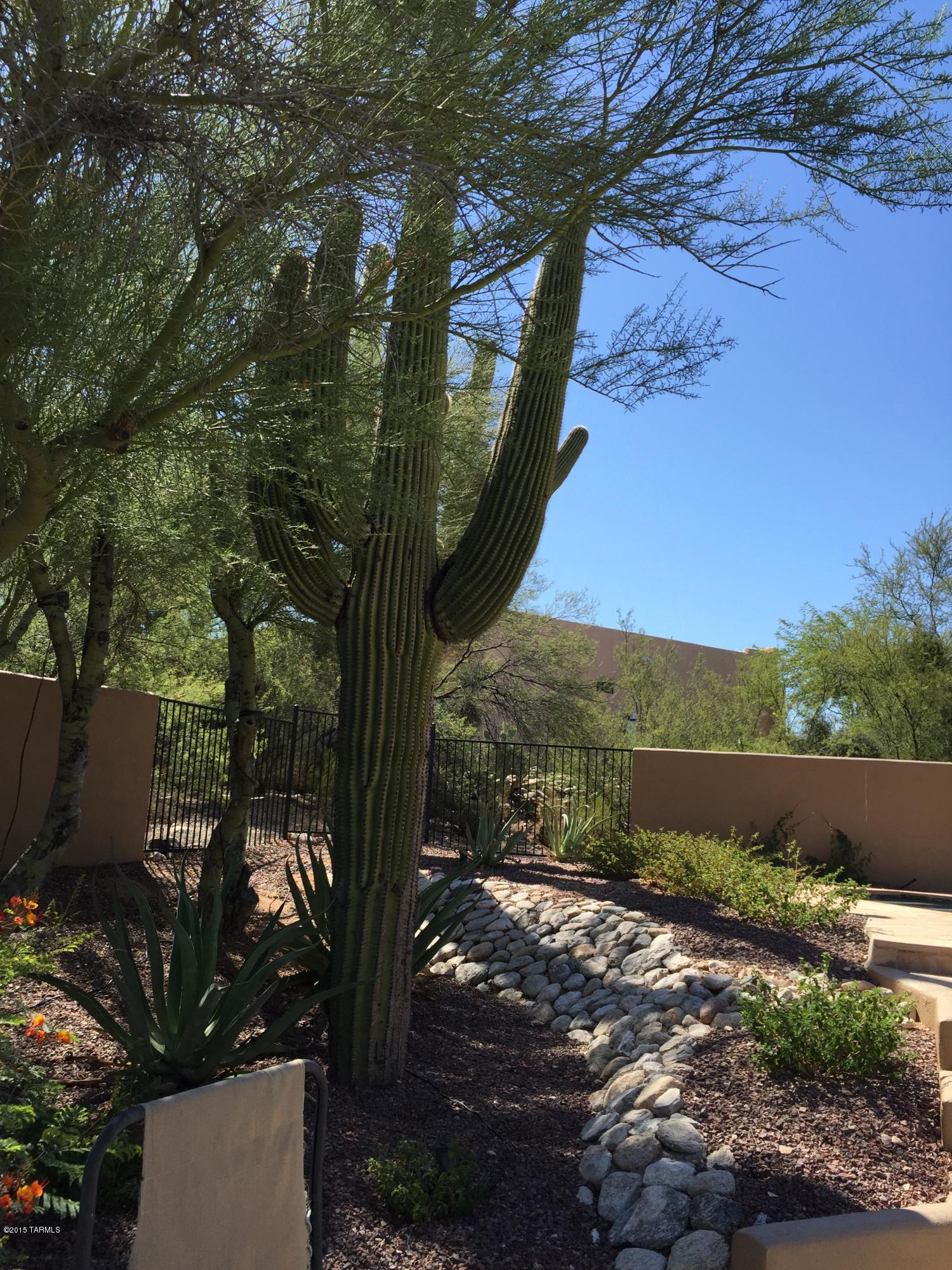 Shadow Hills (1-483) - Residential Lease