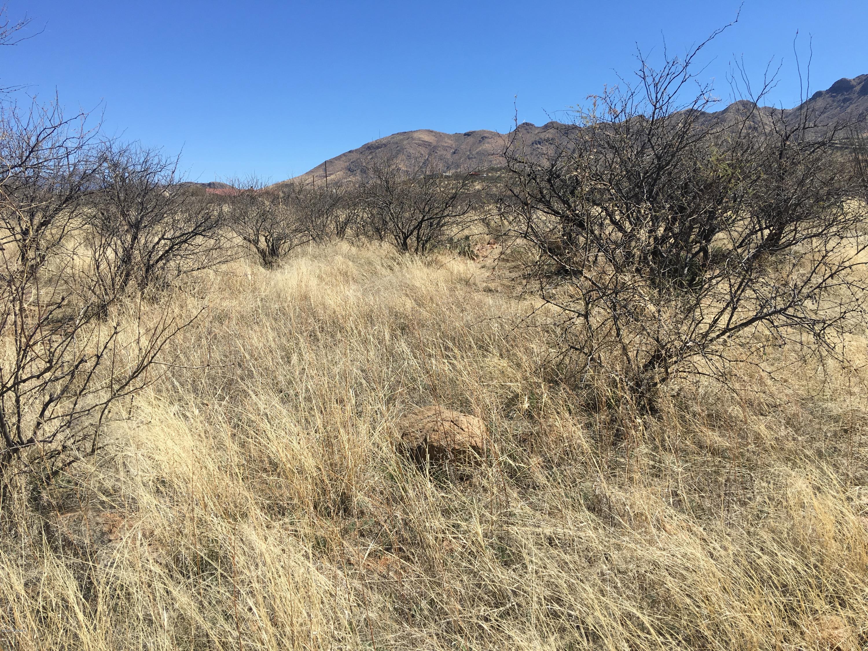 Rio Rico Ranchettes 17 - Land