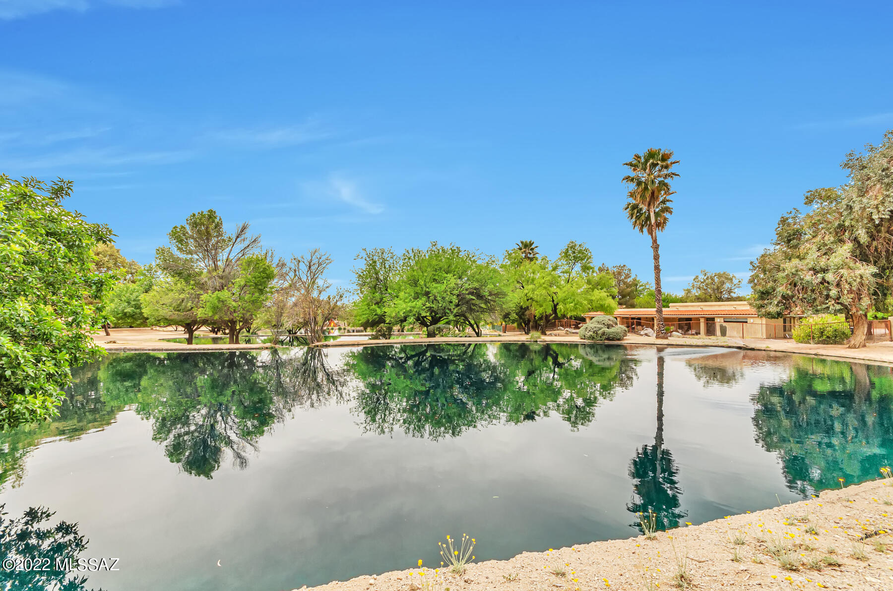 Castle Rock (1-430) - Residential Lease