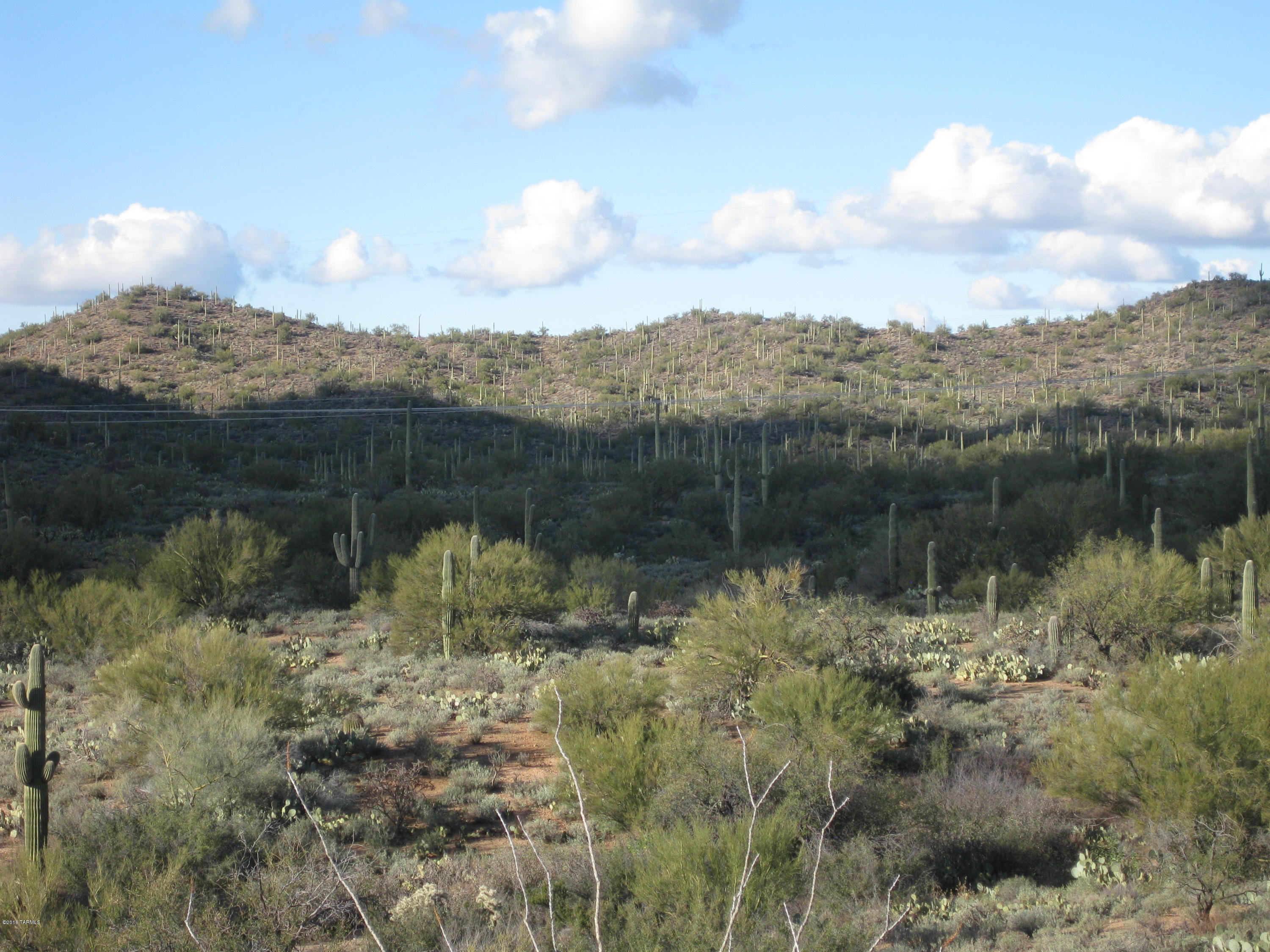 Out Of Pima County - Land