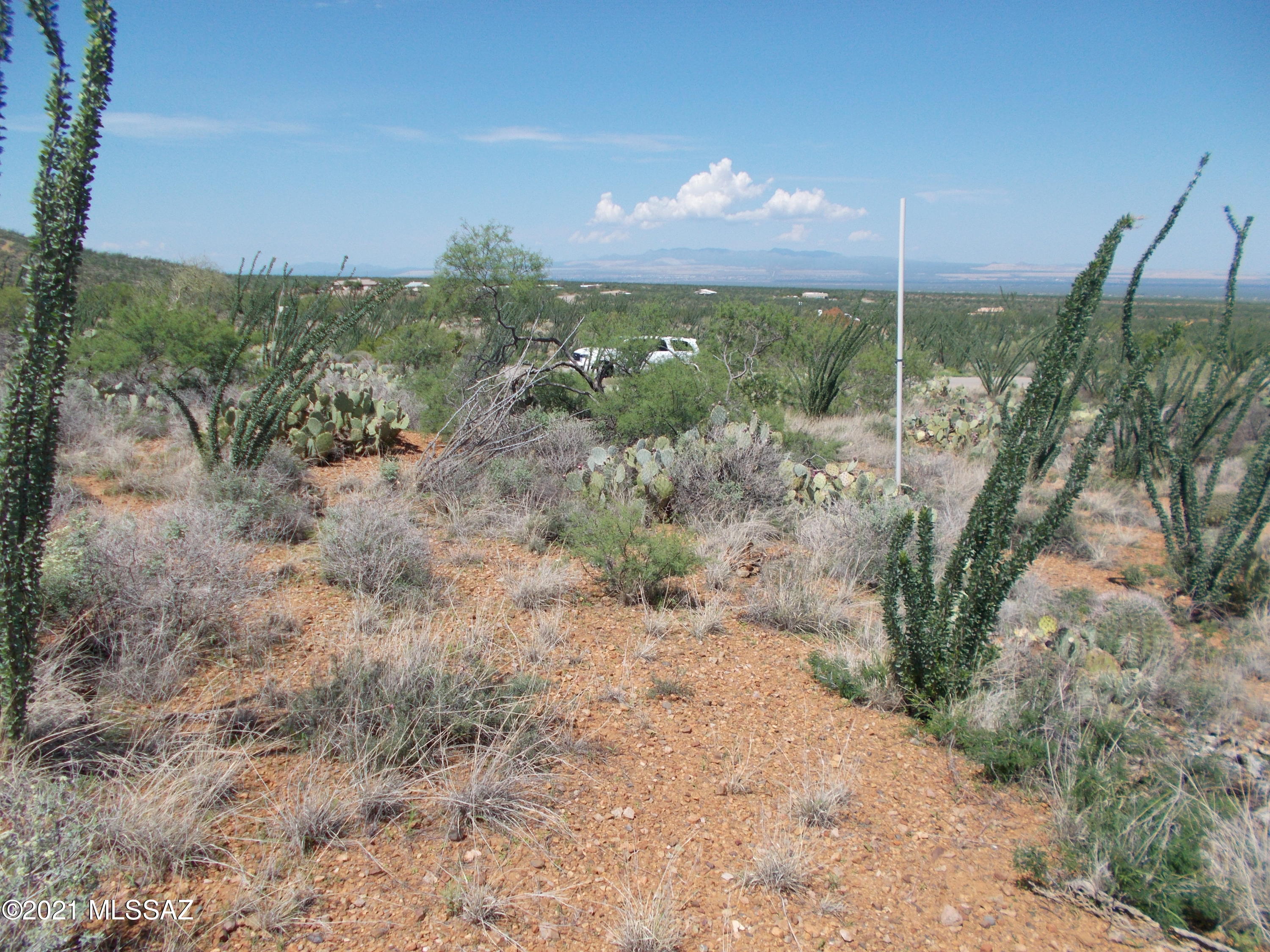 Ocotillo Preserve (1-42) - Land